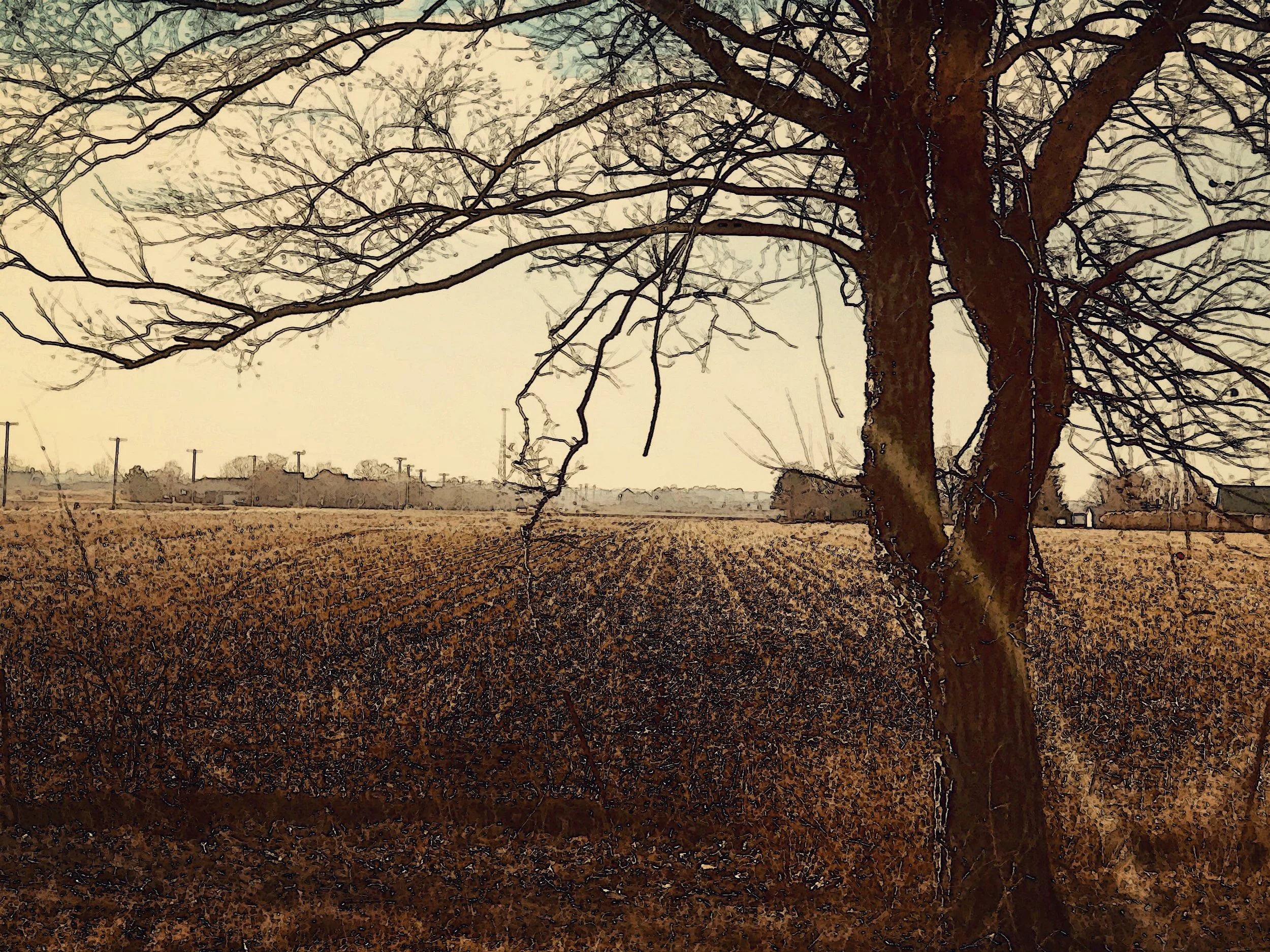 A Field Lies Fallow