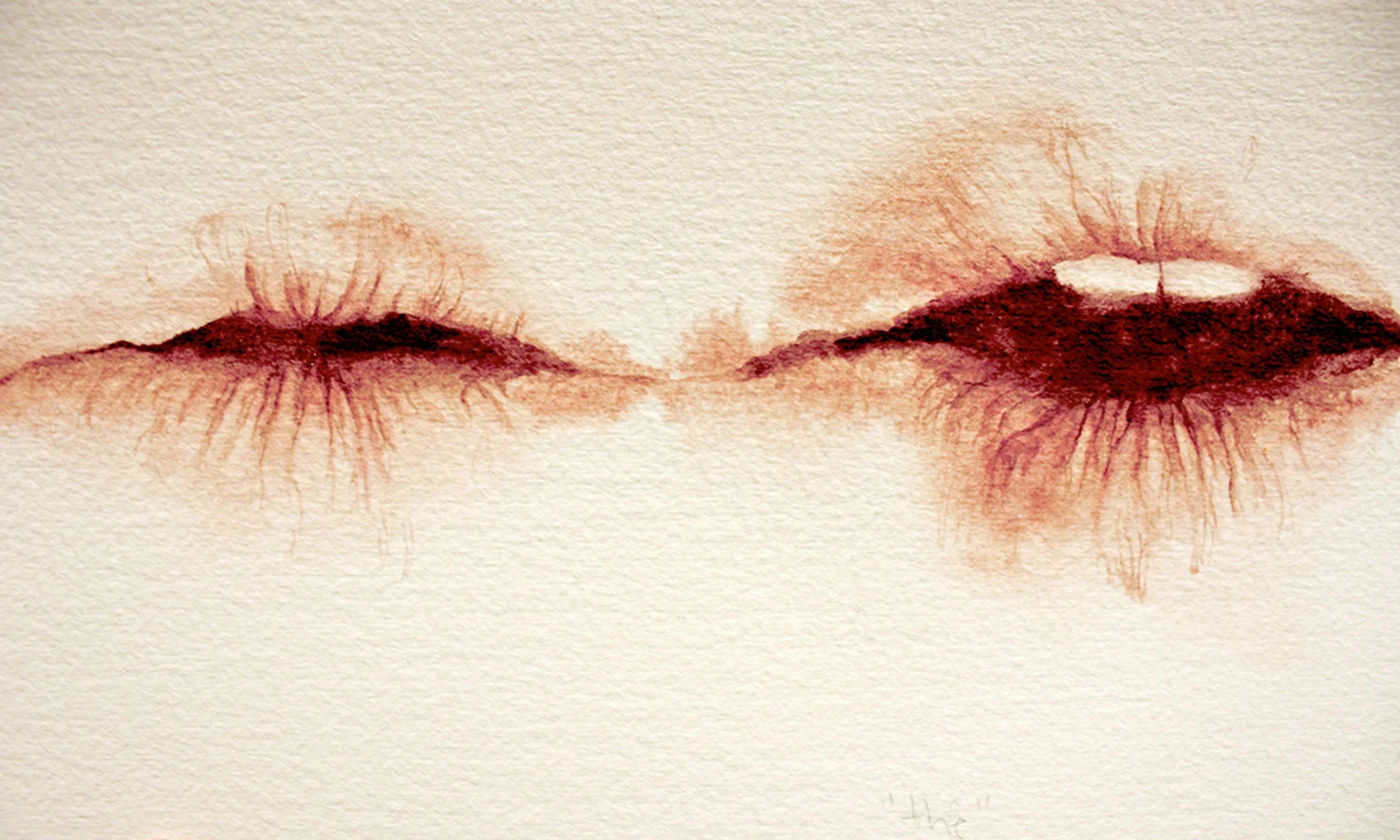 "Inside/Out Desire: The Female Gendered Voice", Connecticut College Thesis Project, 2012-2013