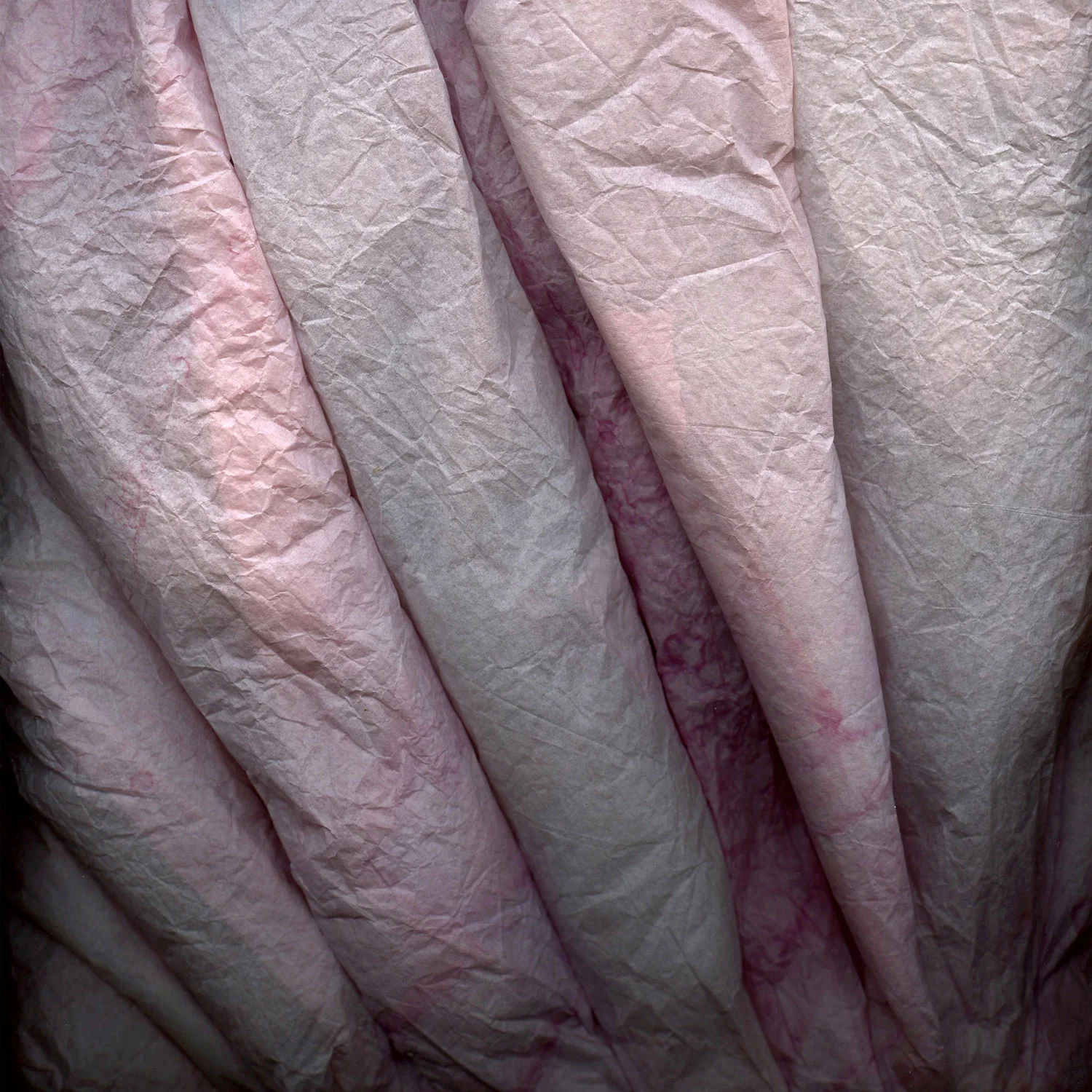 Tissue_8.jpg