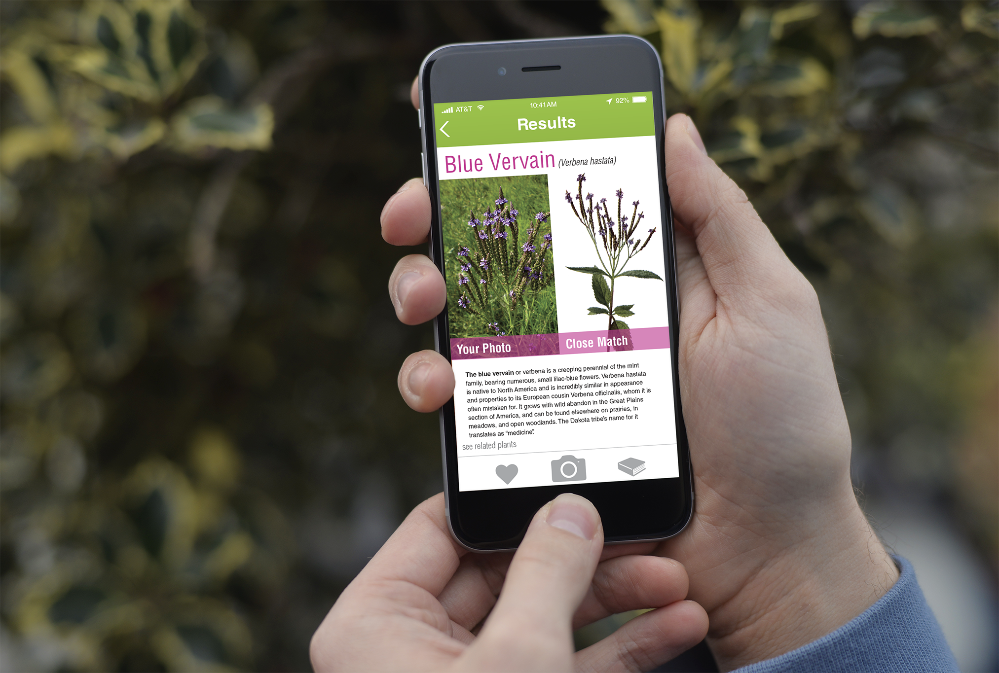 App Design: IdentiPlant