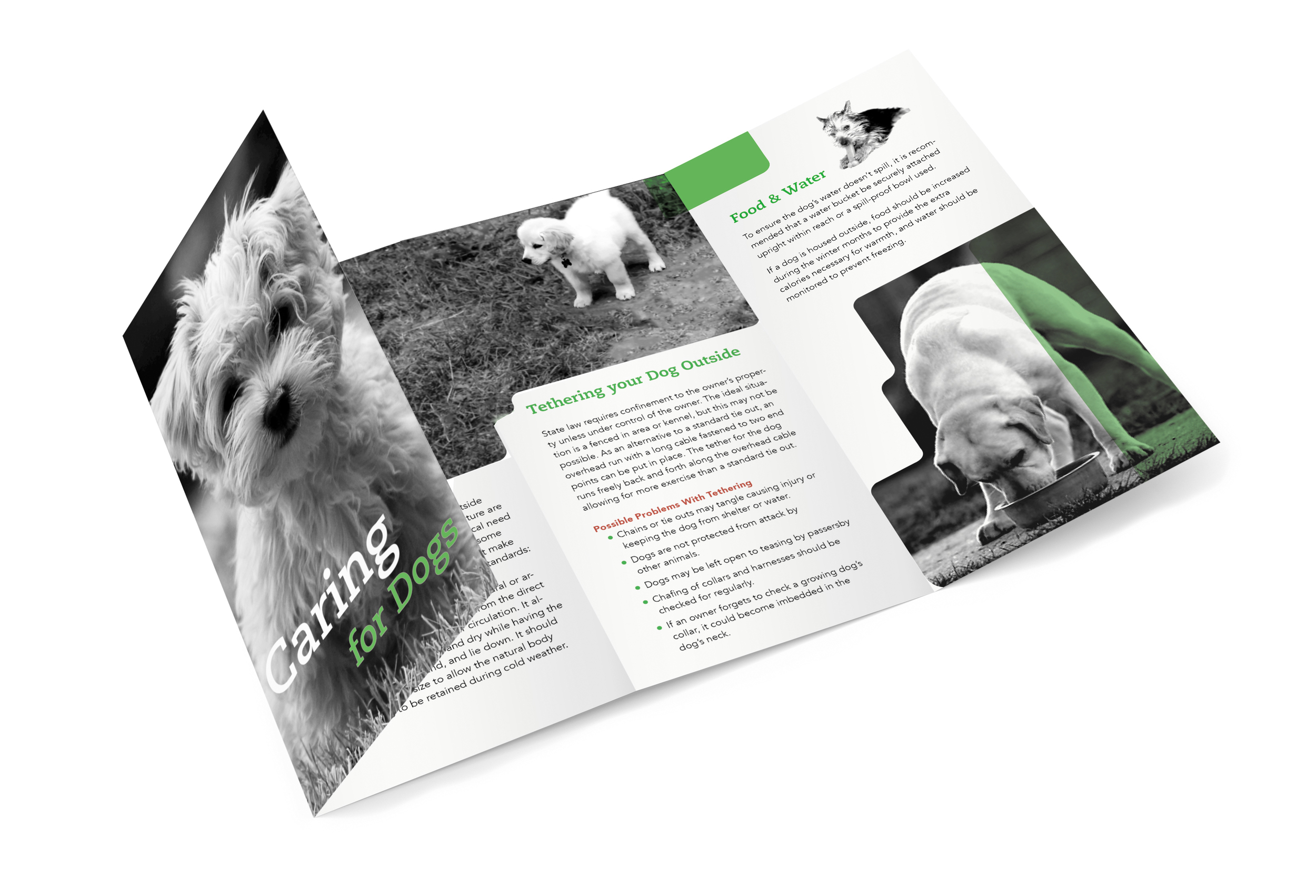 BROCHURE_VIEW_3.jpg