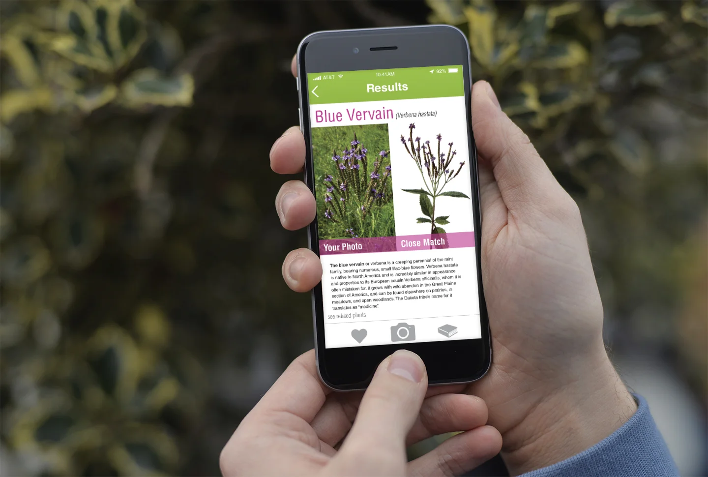 identiplantapp.jpg