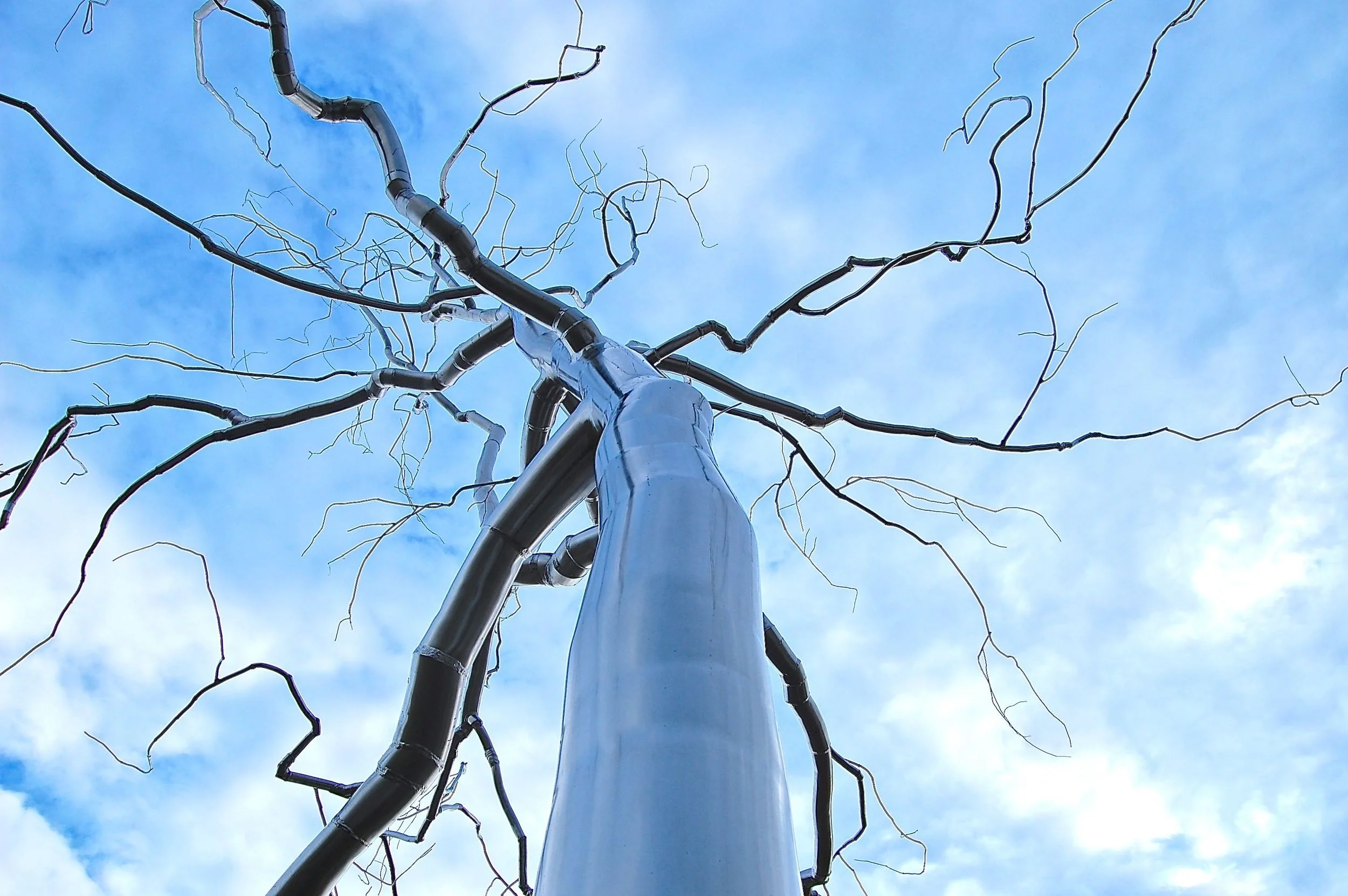 bluetree.jpg