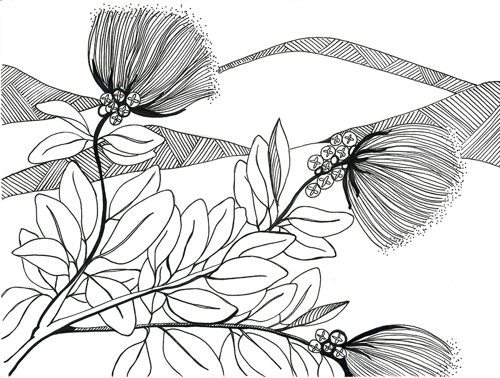 Download Coloring Series Vol 2 Dedicated To The Kiaʻi Of Mauna Kea Naiʻa Lewis