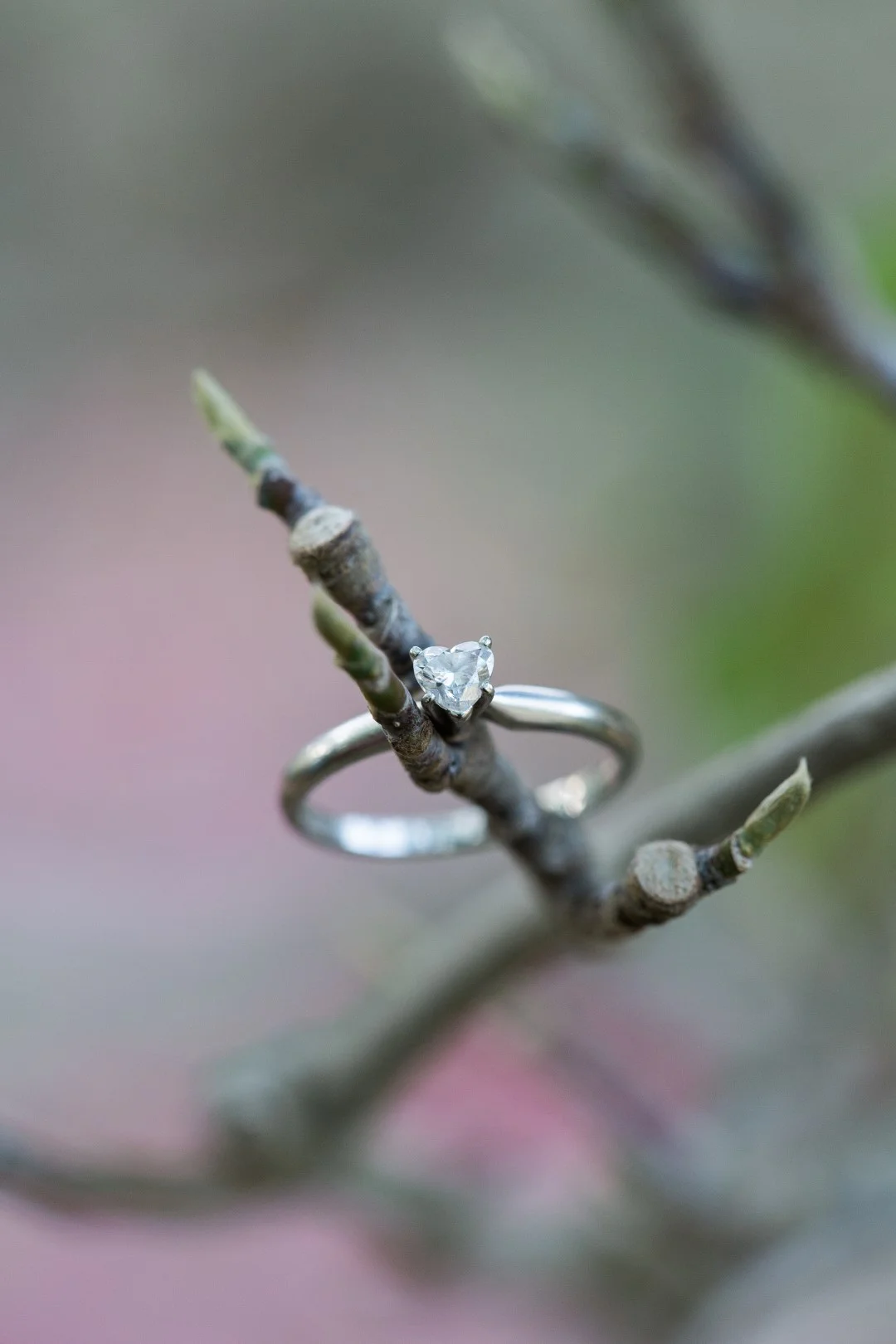 D+G Engagement-1-11.JPG