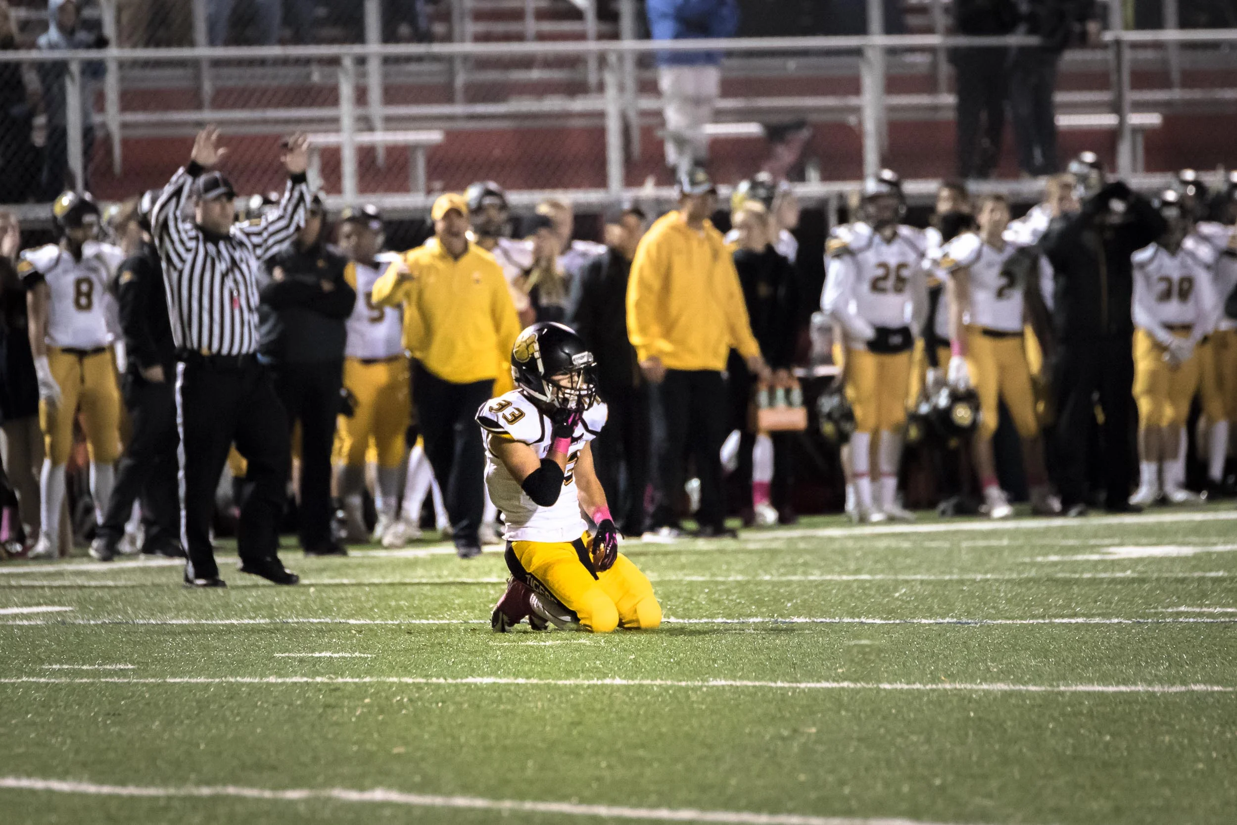 Pittsburgh Sports Photography Adam Michaels 8.jpg