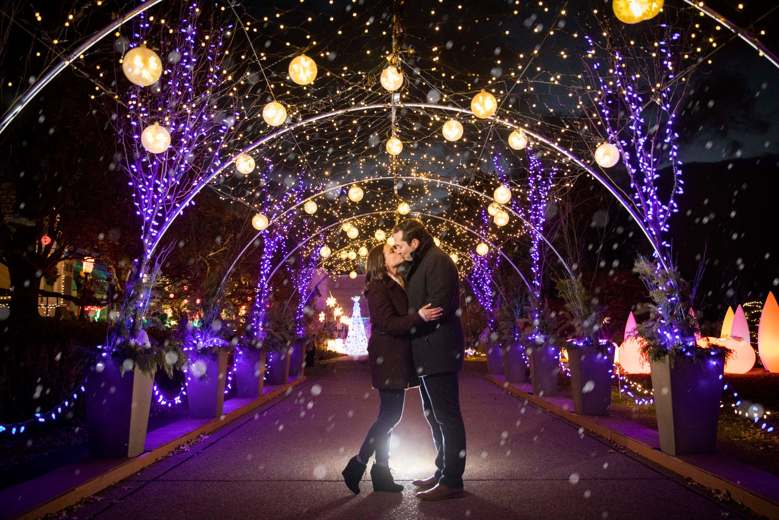 Pittsburgh Engagement Pictures-24.jpg