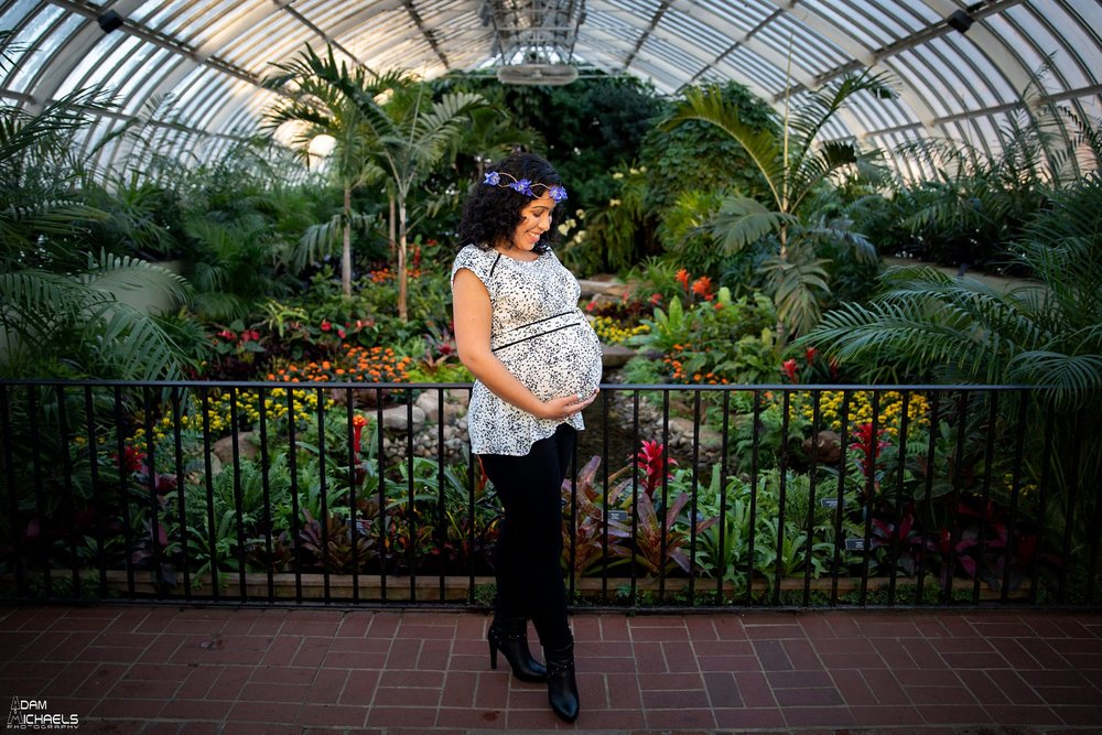 Pittsburgh Maternity Pictures Phipps Conservatory_3099.jpg