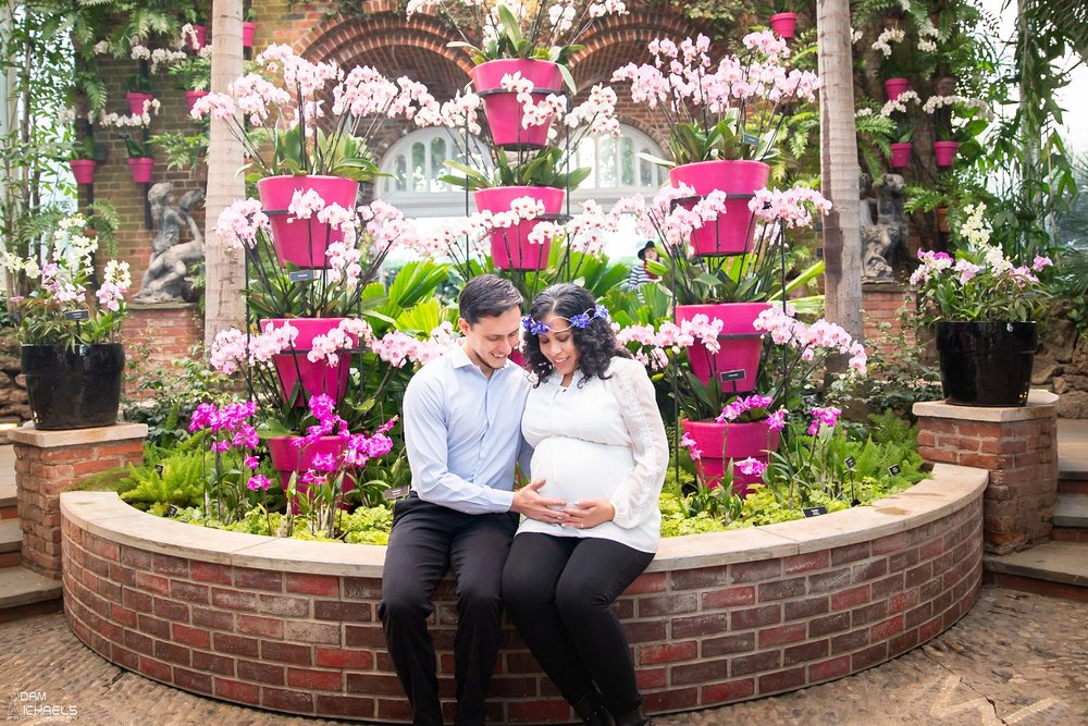 Pittsburgh Maternity Pictures Phipps Conservatory_3103.jpg
