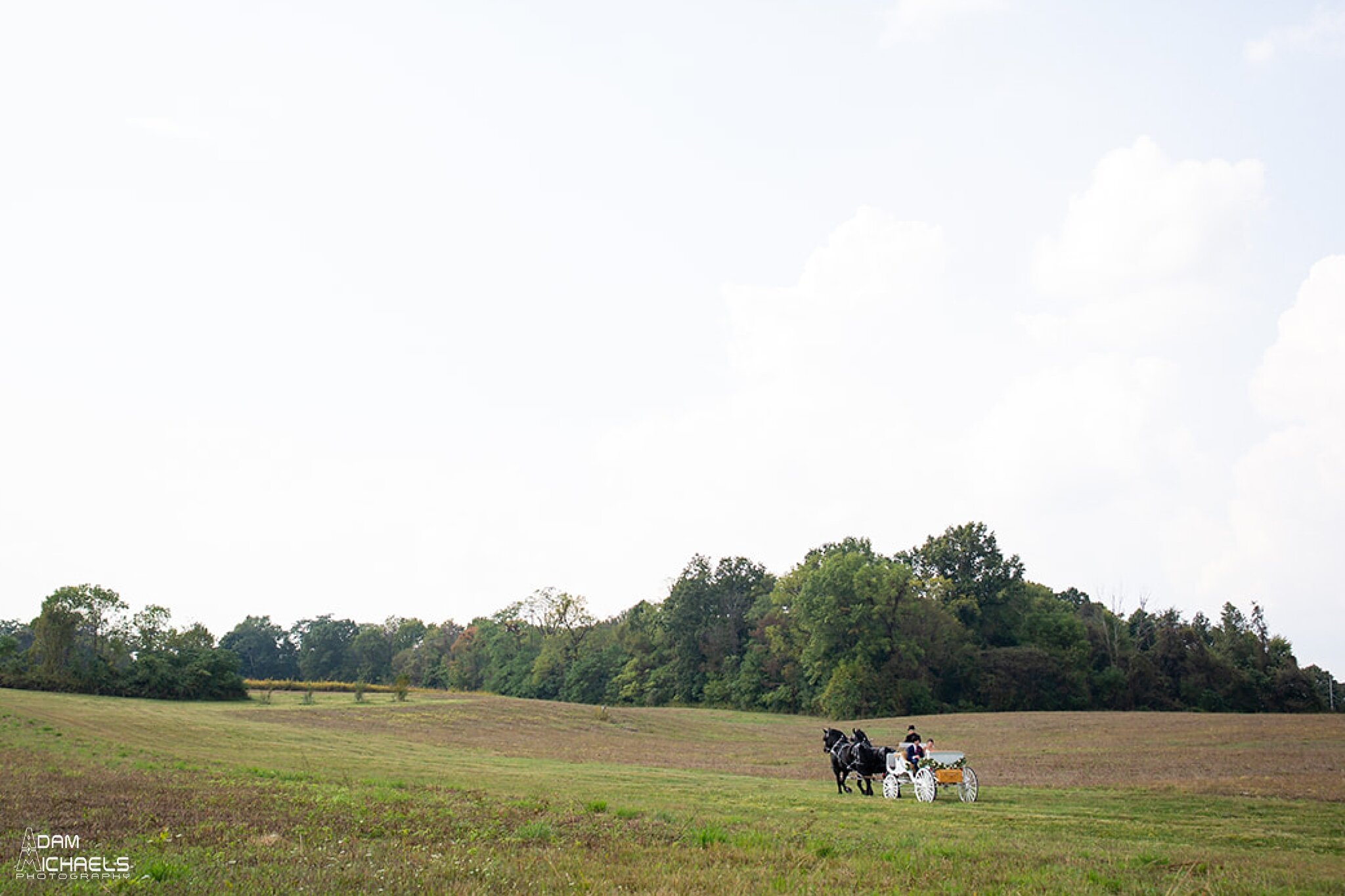 Pittsburgh Rustic Estate Wedding_0663.jpg