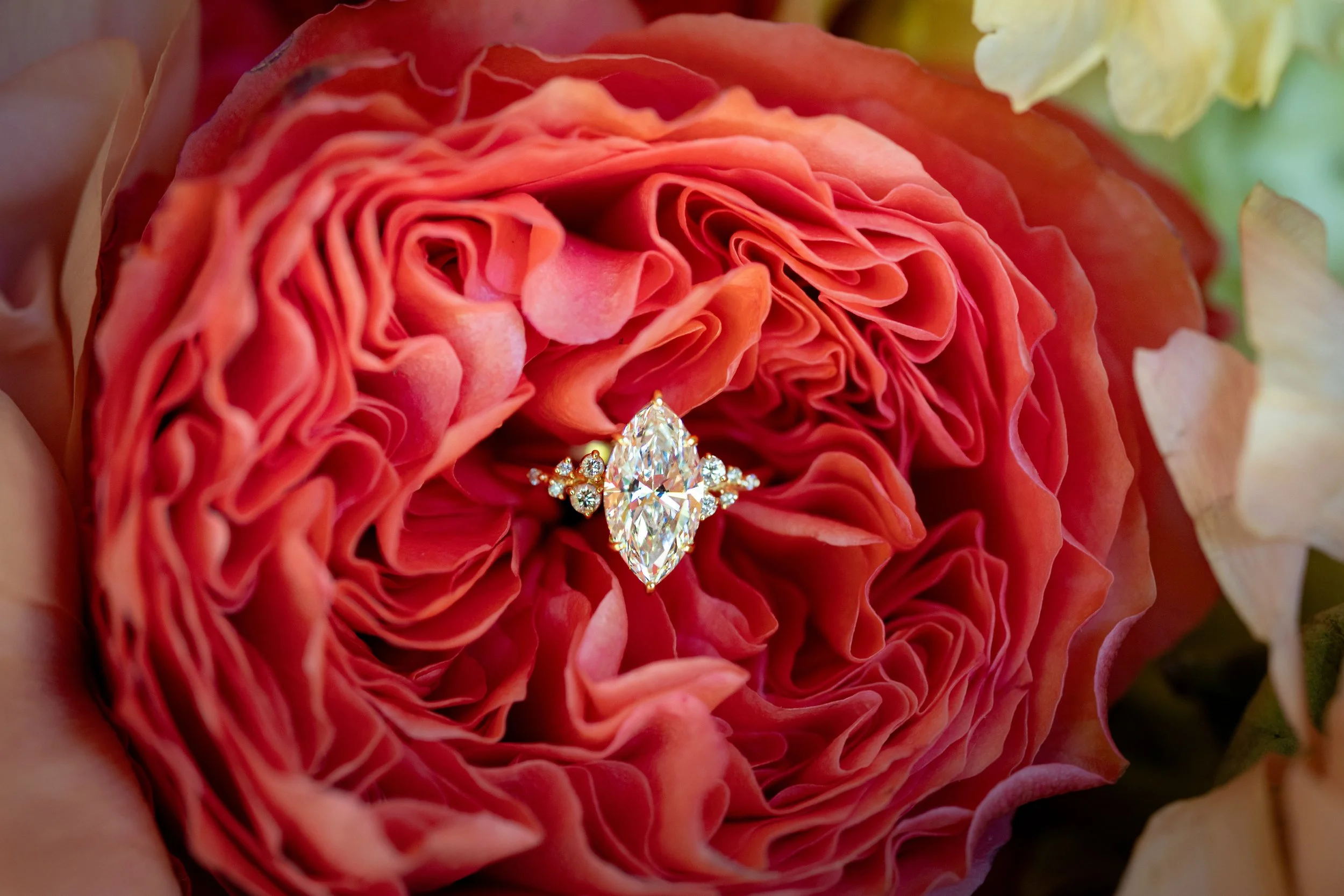 Oglebay+Park+Resort+Wedding+Adam+Michaels+Photography+Pittsburgh+Wedding+Photography-1.jpg