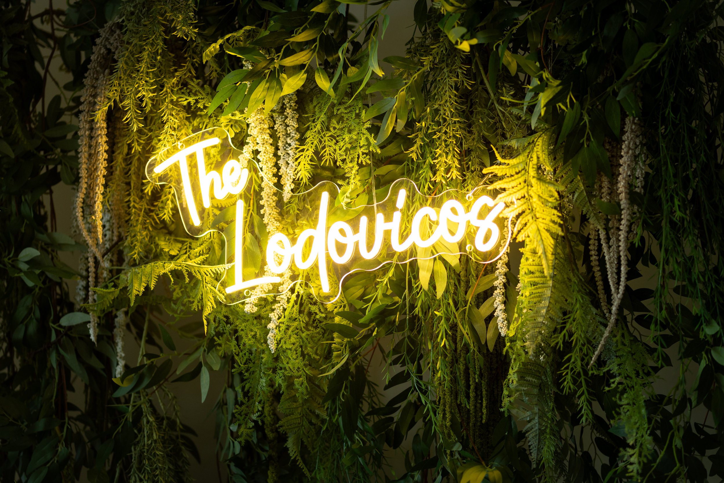 Twelve Oaks Mansion Wedding Pictures-65.jpg