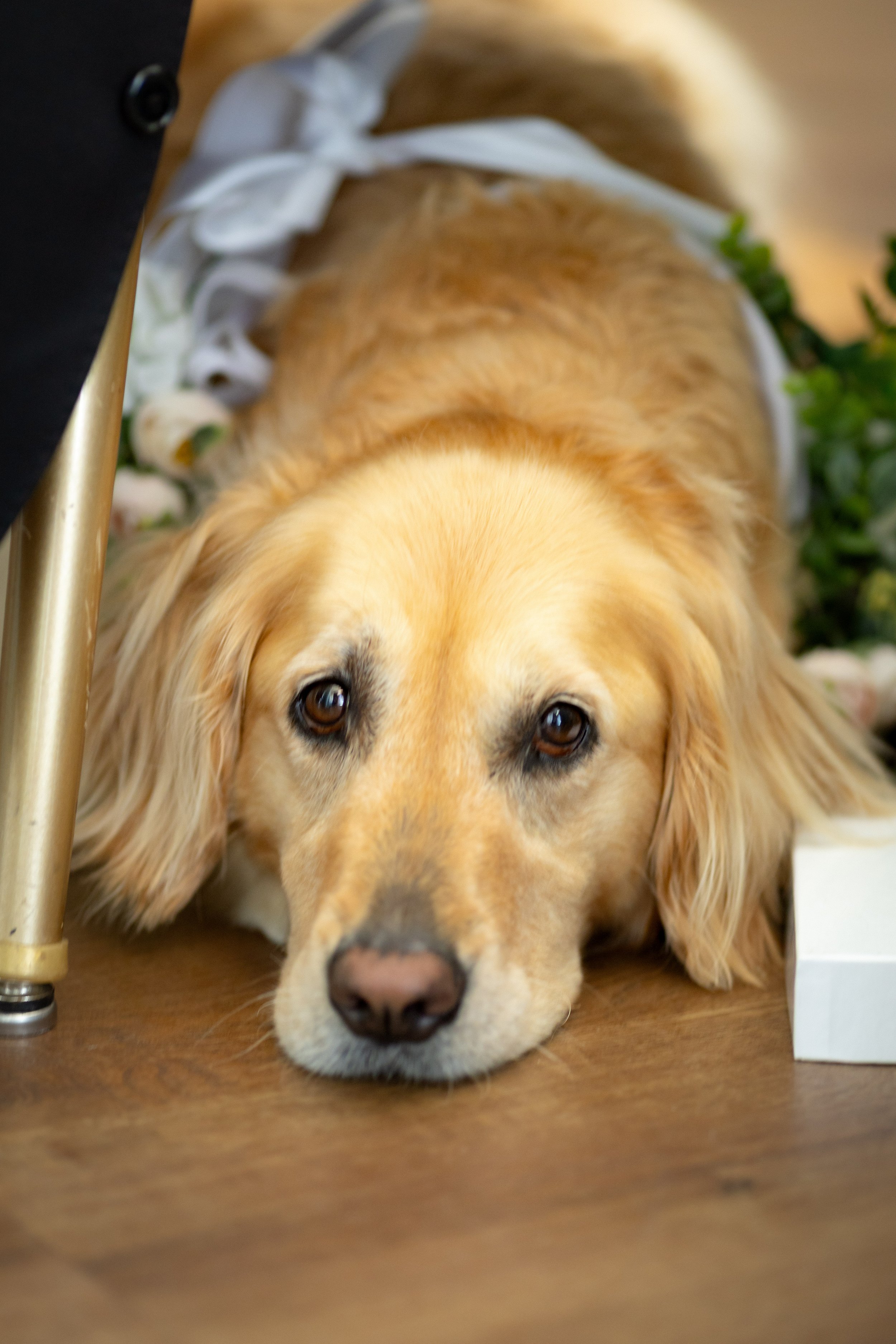 Hotel Monaco Floral Wedding-37.jpg