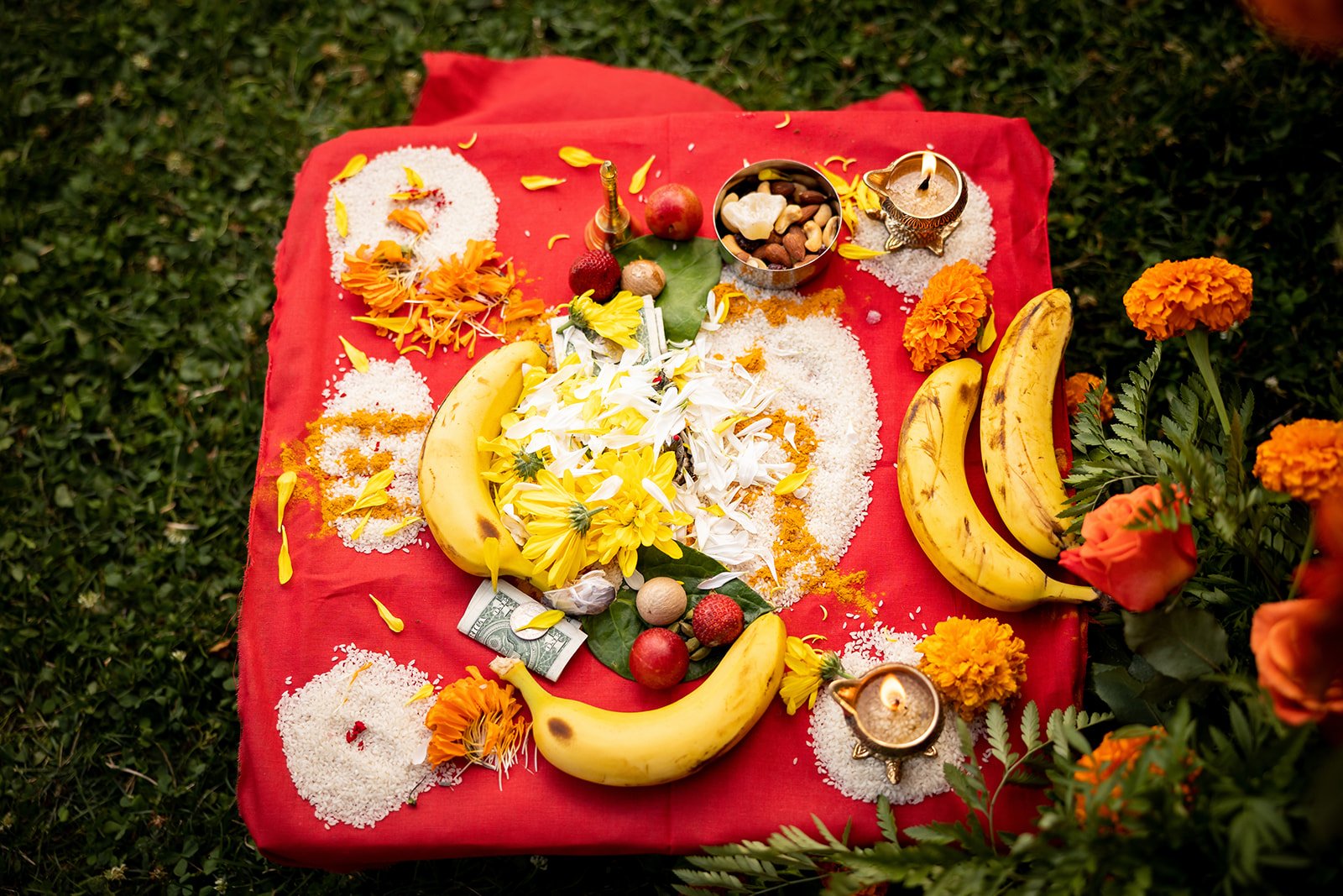 Phipps+Conservatory+Outdoor+Garden+South+Asian+Indian+Wedding+Adam+Michaels+Photography+Pittsburgh+Wedding+Photography-17.jpg