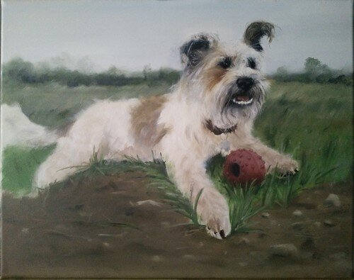animal portrait (Copy)
