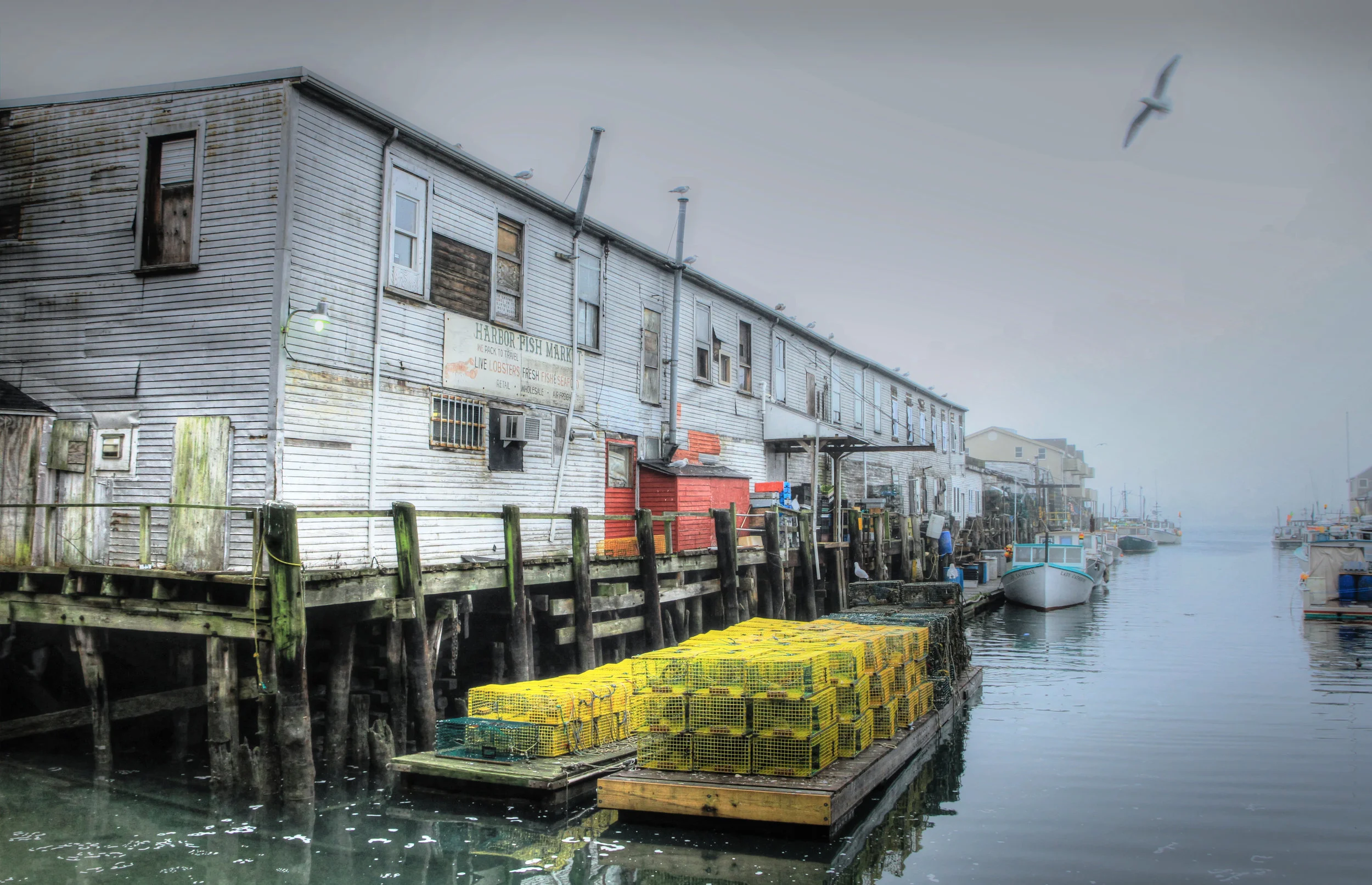 dock-fog-large.jpg