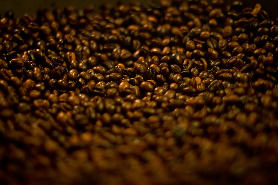 beans.jpg