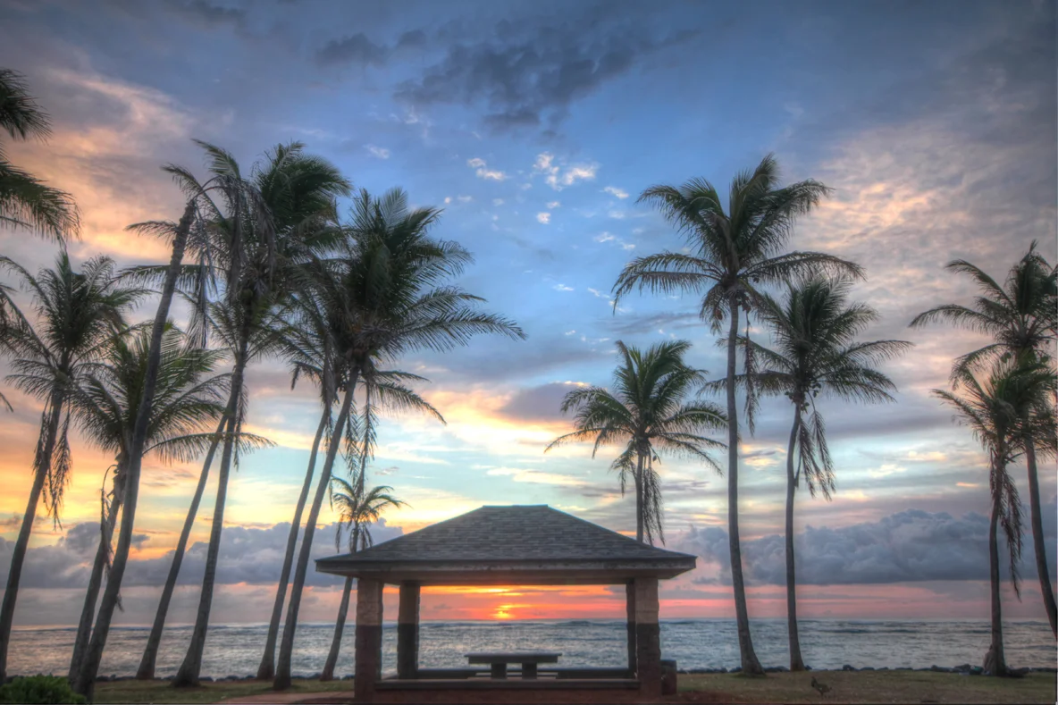 IMG_9884_5_6_tonemapped.jpg