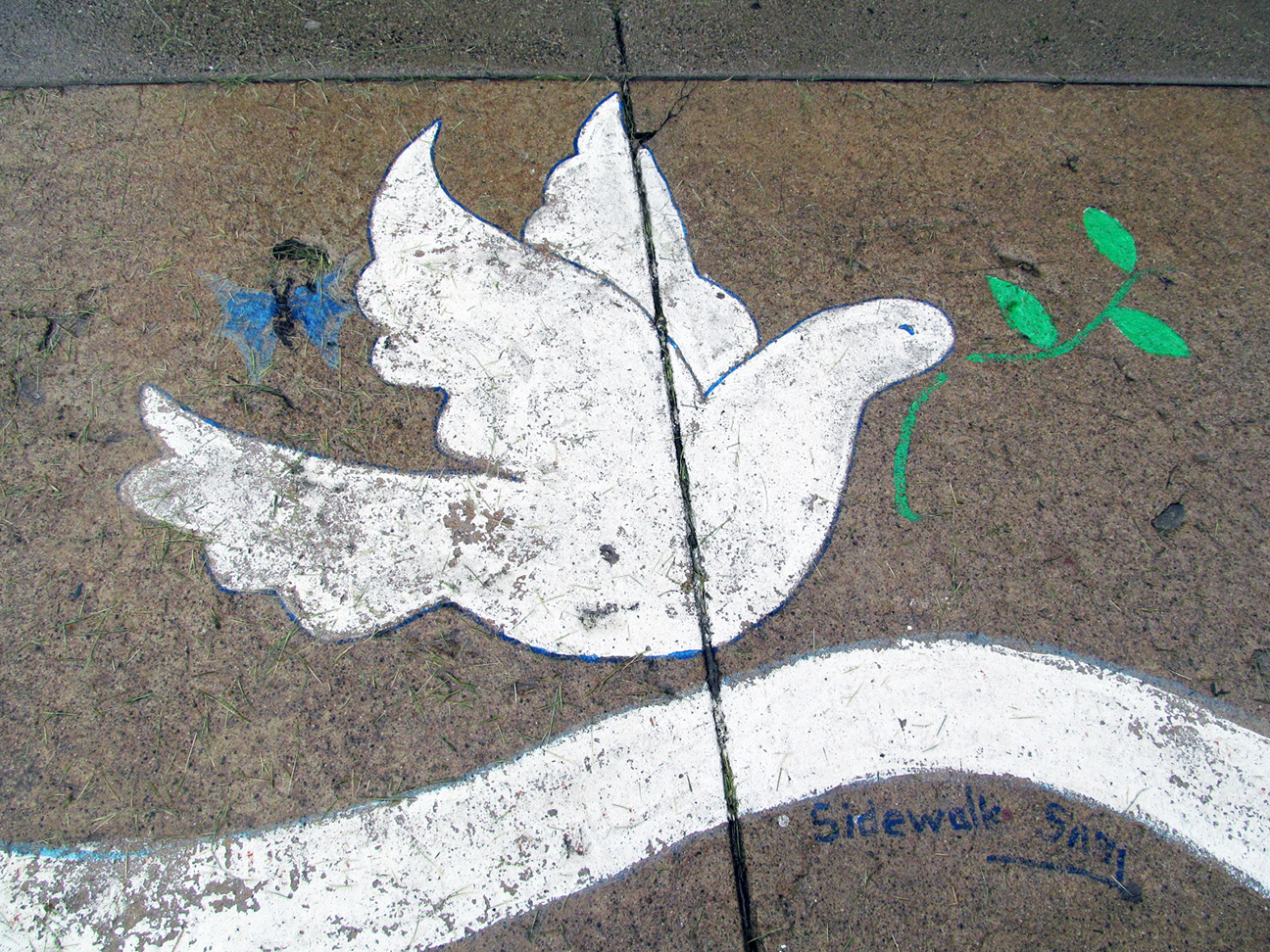 sidewalk sam dove.jpg