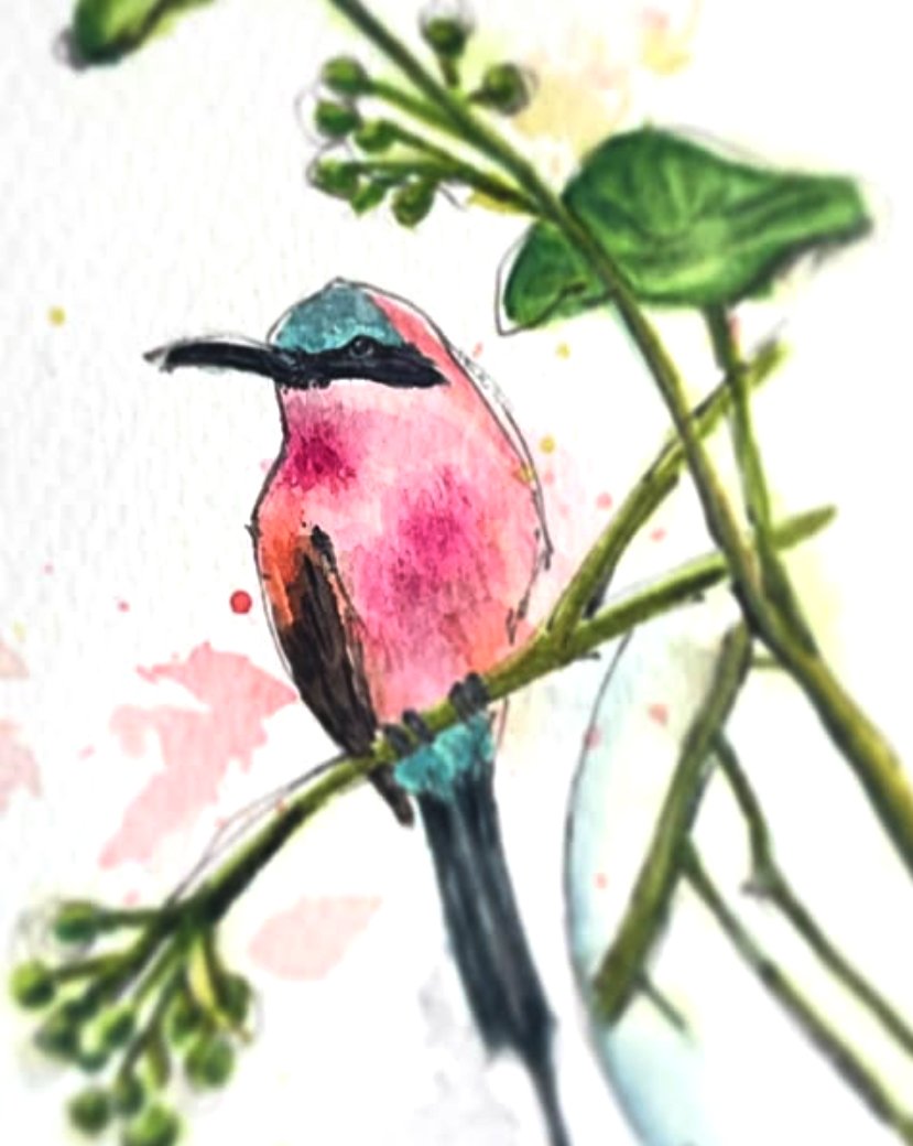 aussie bird