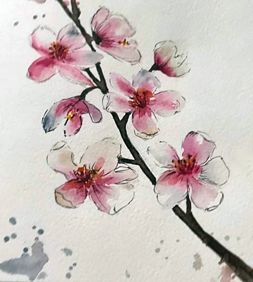 cherry blossom branch