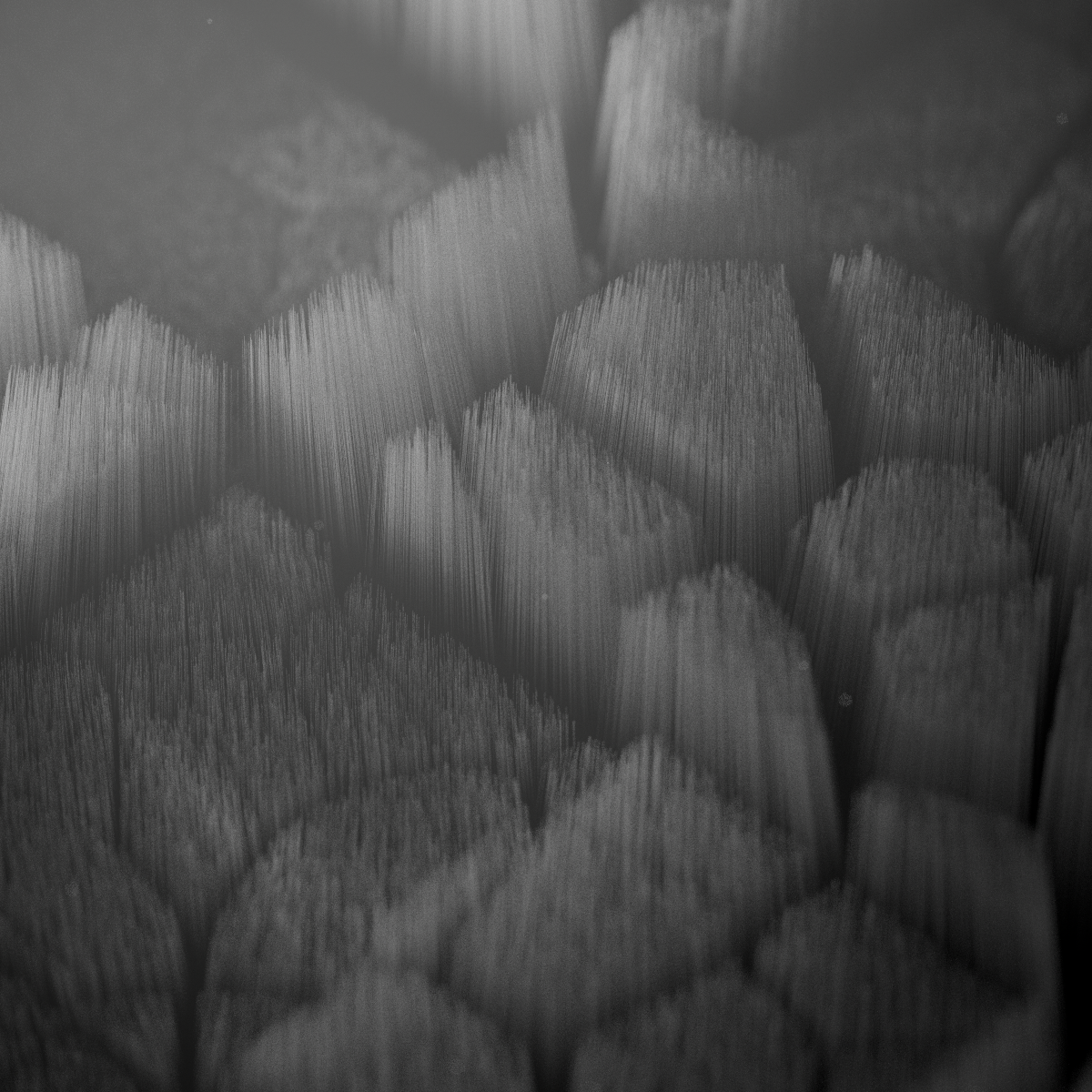 FIBER FRACTALS