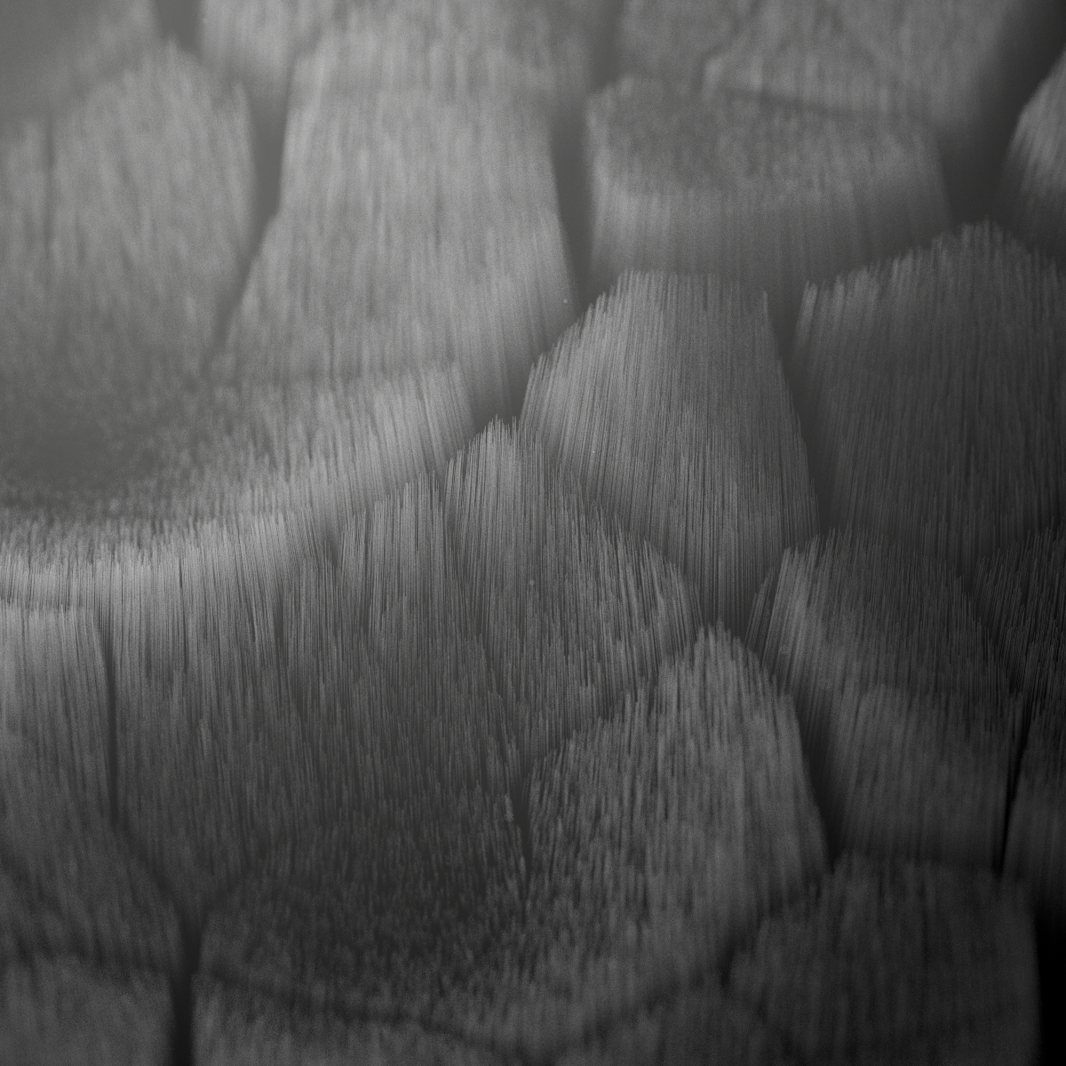 FIBER FRACTALS 2