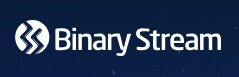 Binary Stream Logo.jpg