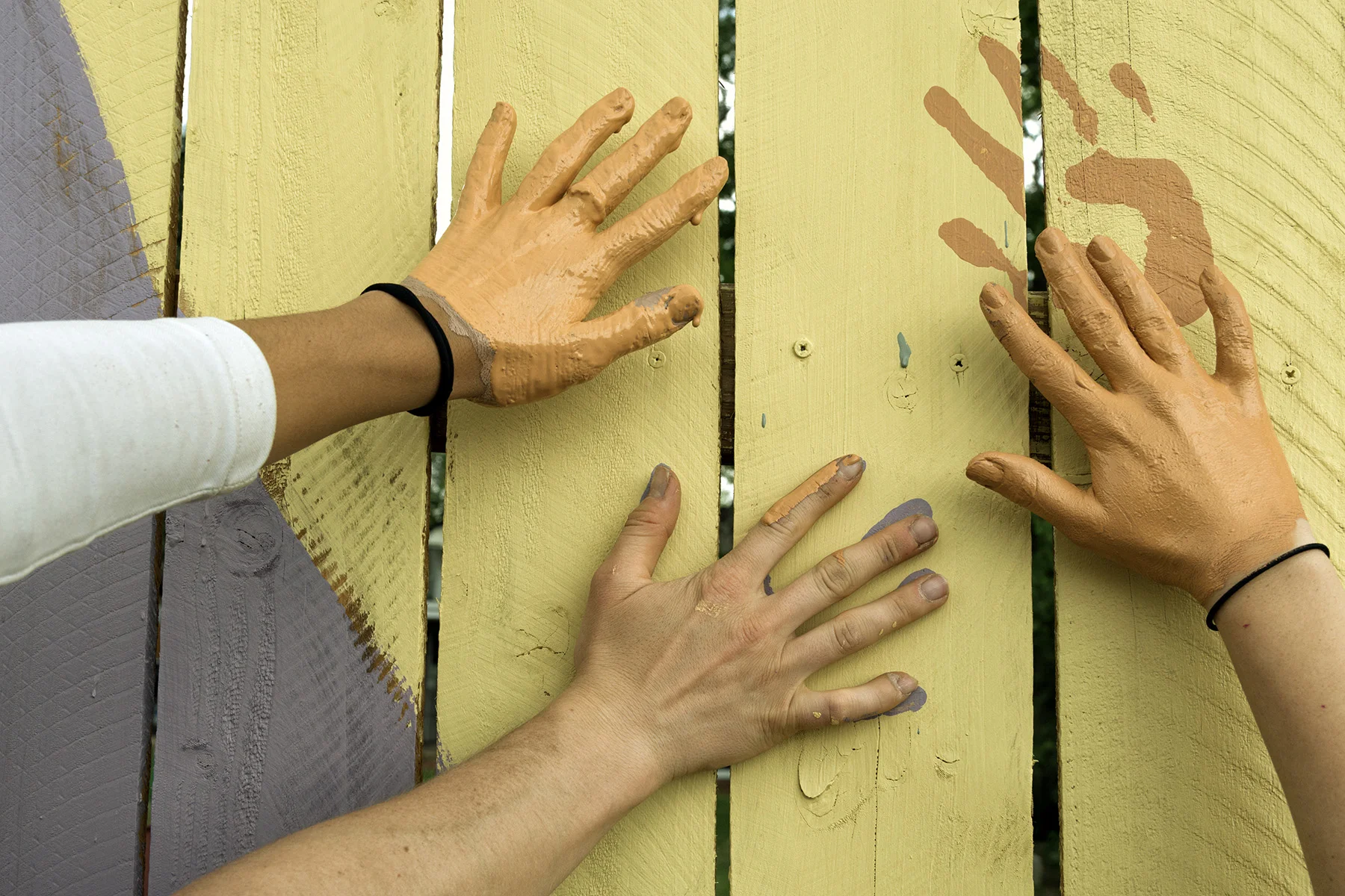 DSC3065-web.jpg
