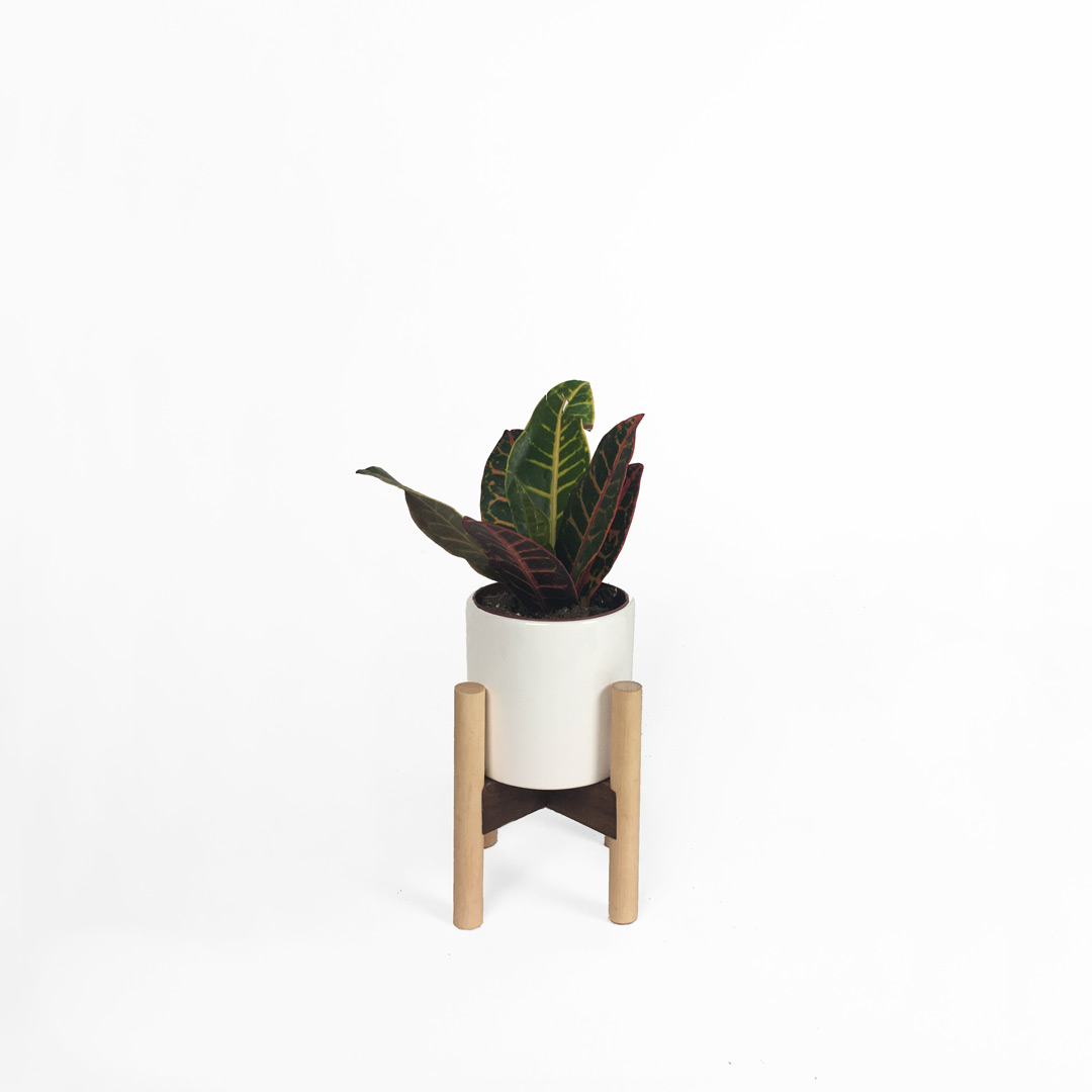 Dovetails&Darts-PlantStands-Small-Maple.jpg