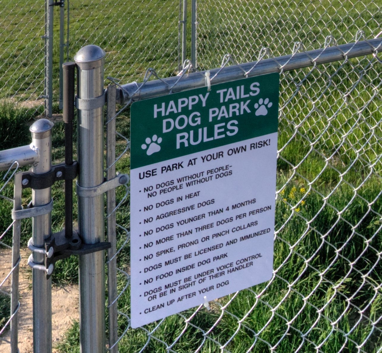 dog park.jpg