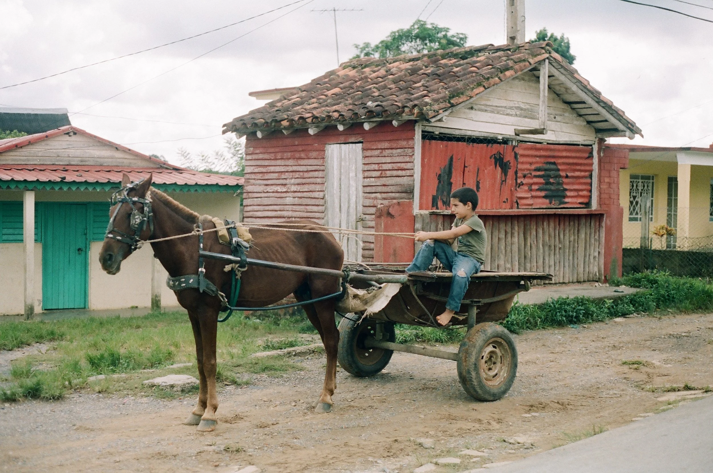 498968_0002.jpg