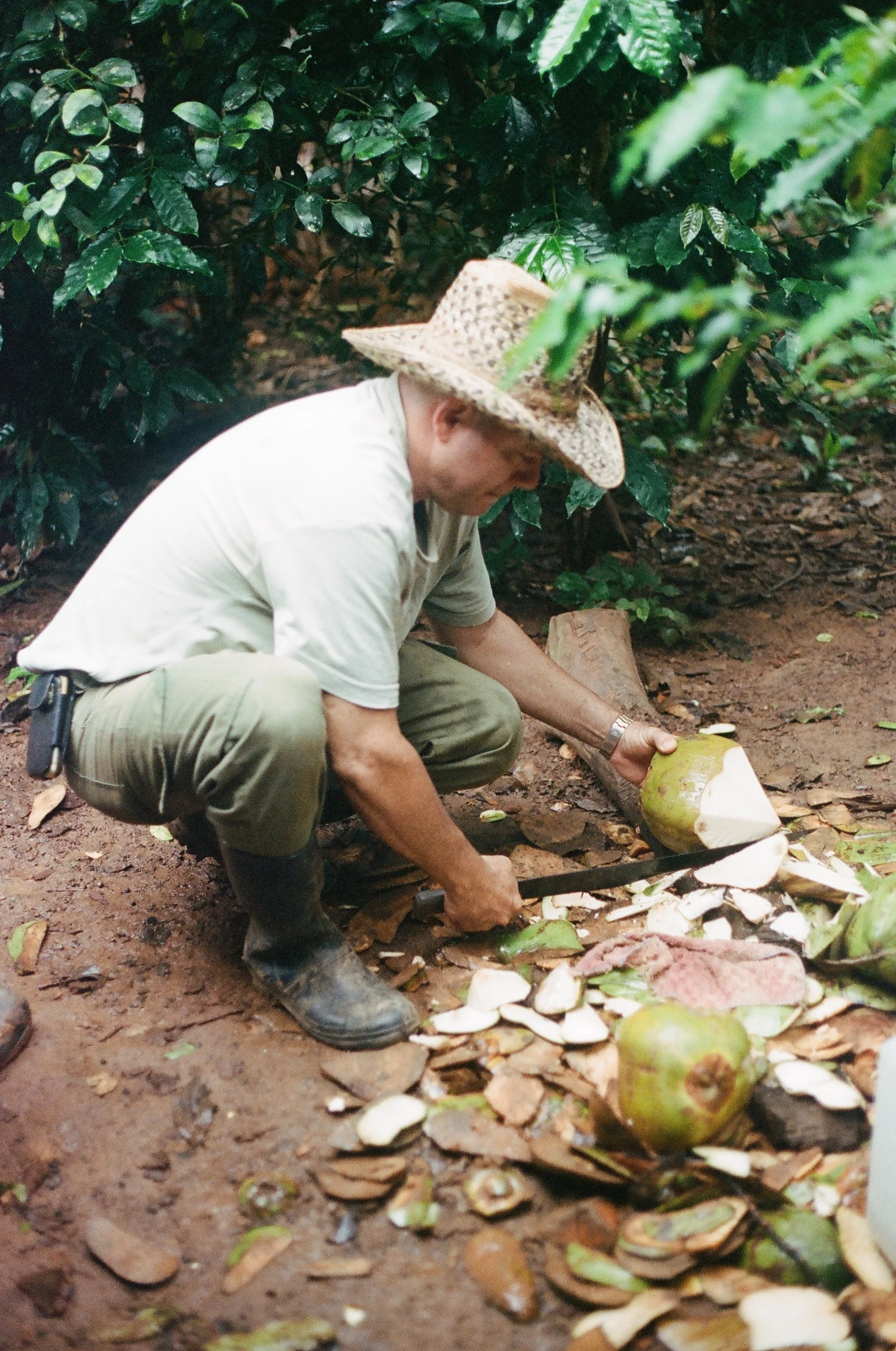 498968_0013.jpg