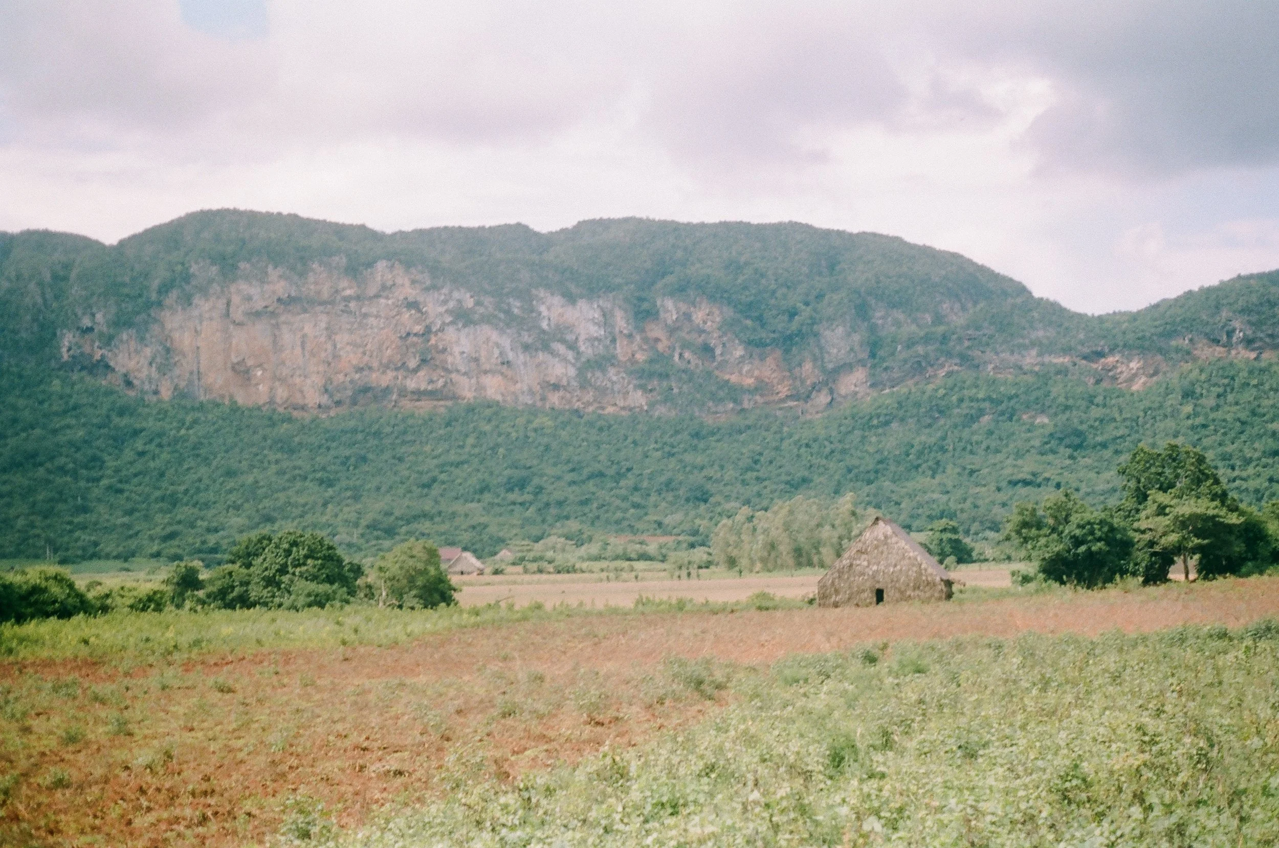 498968_0017.jpg