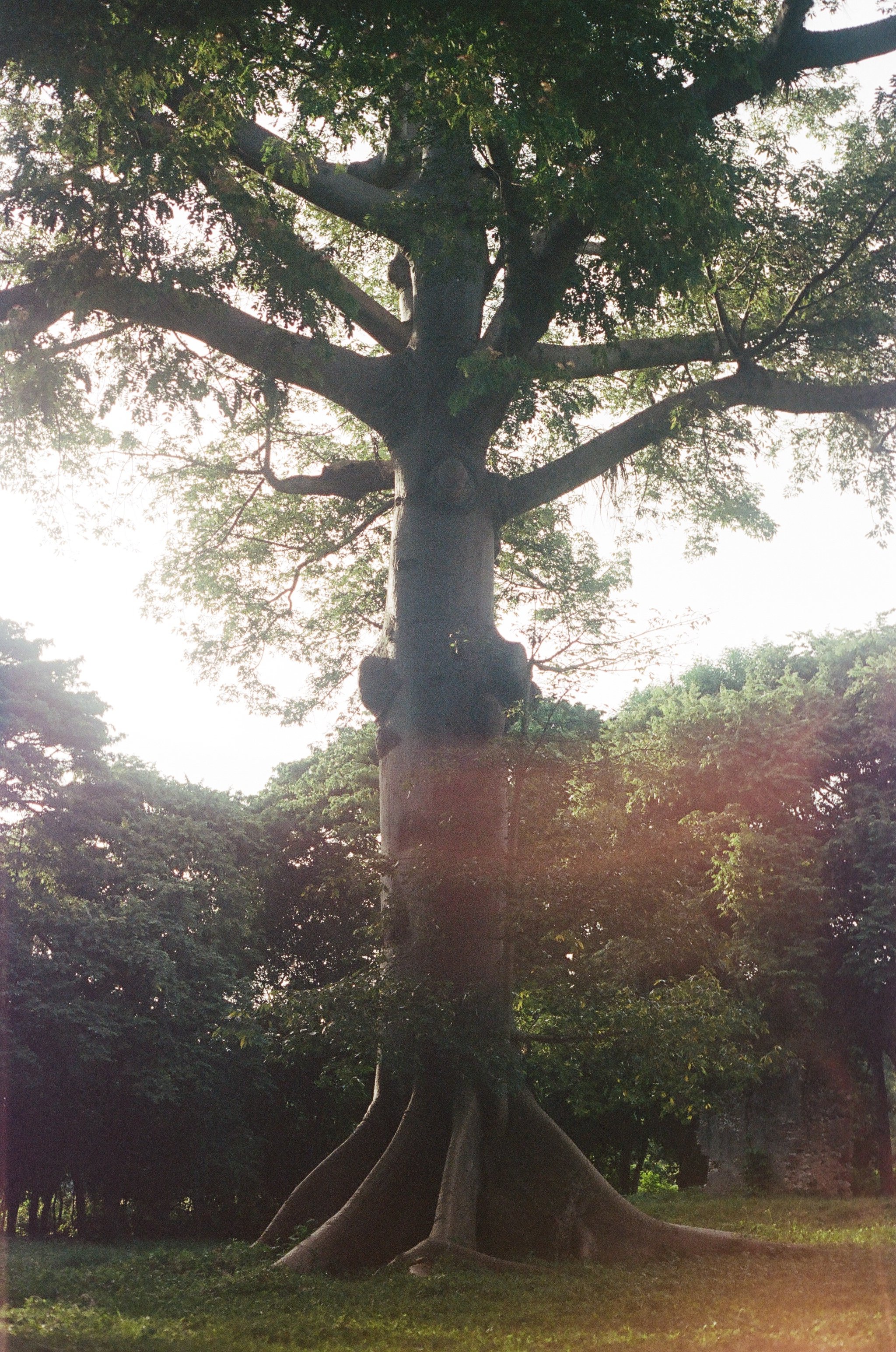 506271_0007.jpg