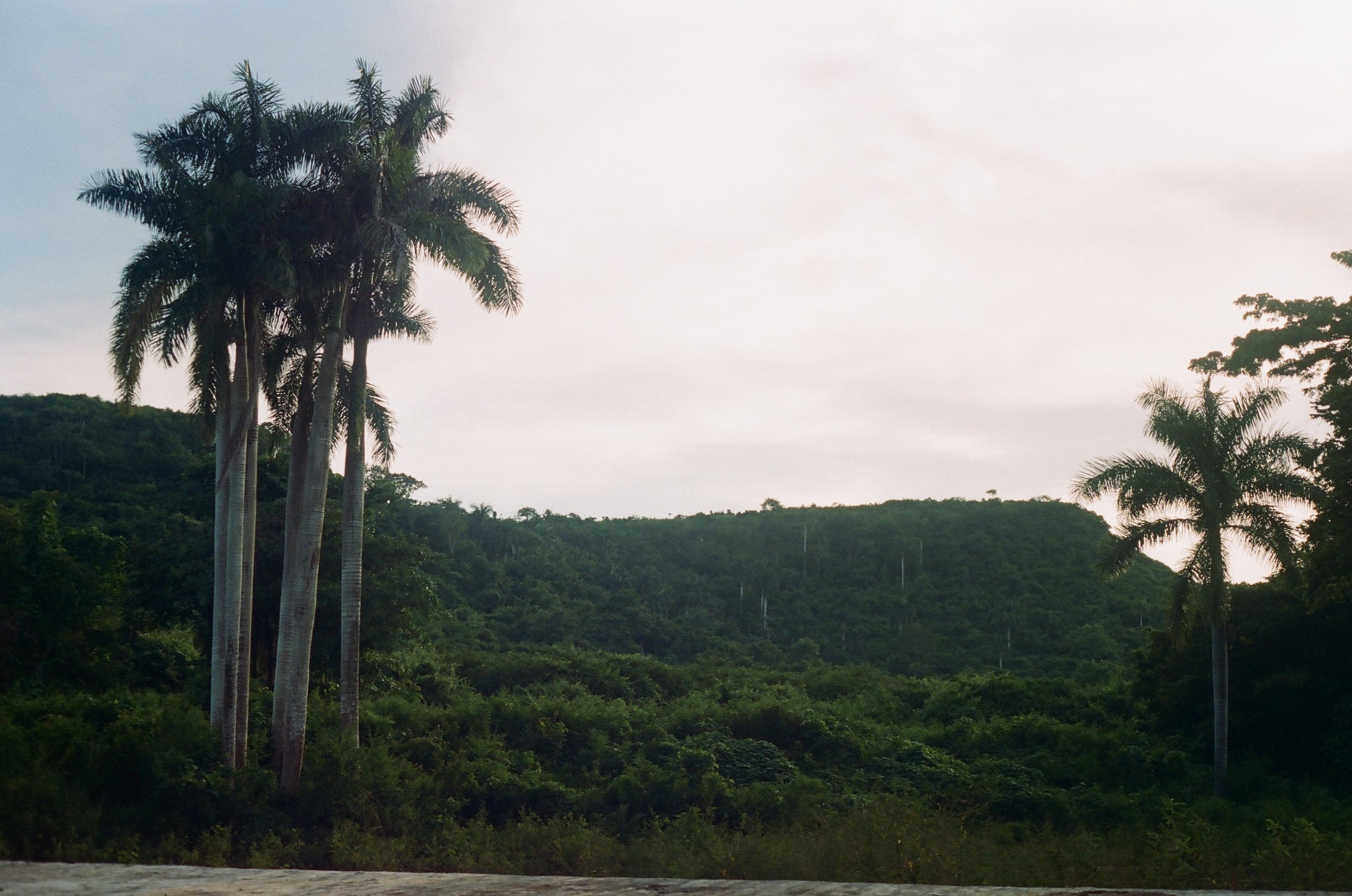 506271_0009.jpg