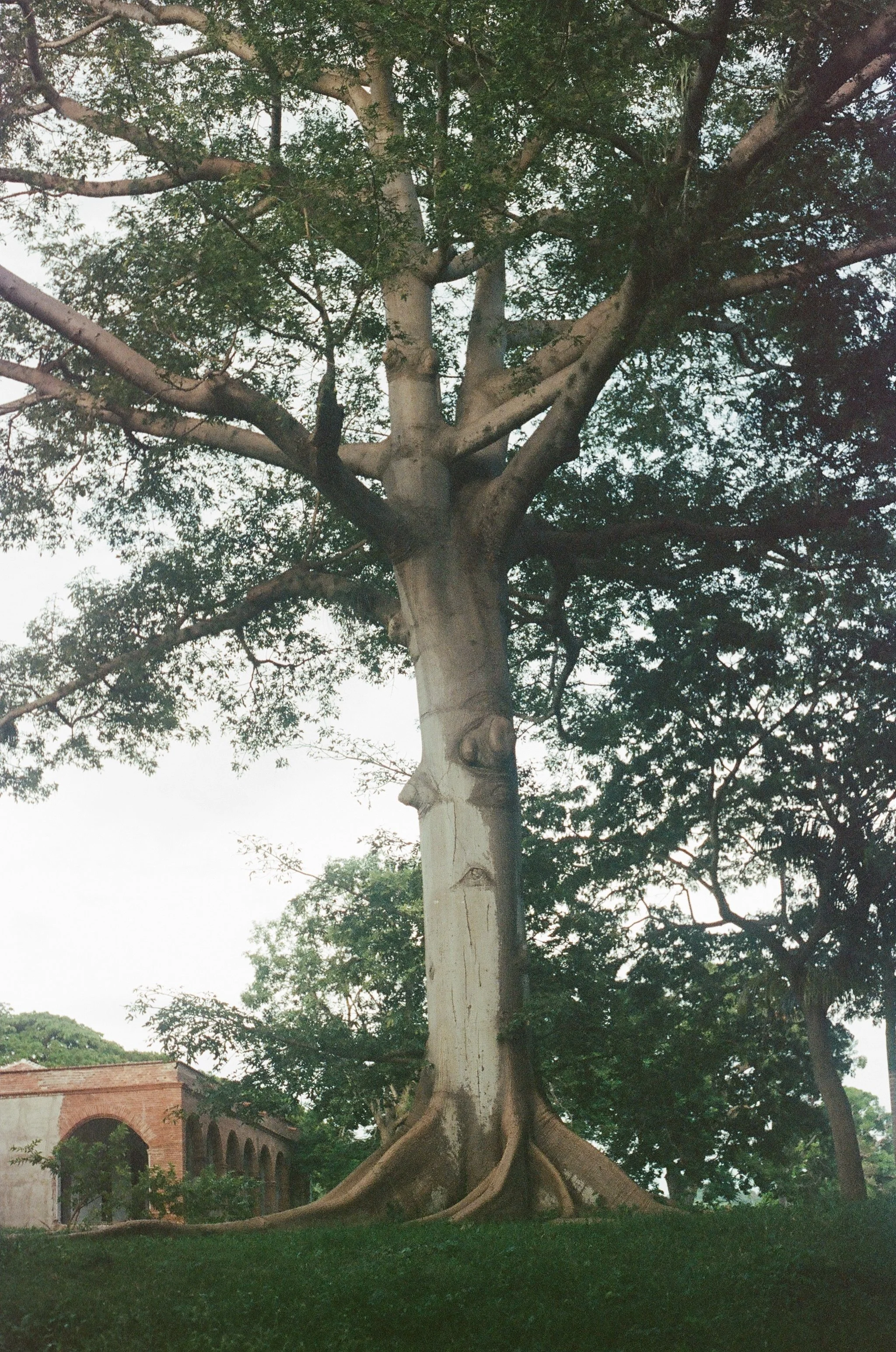 506271_0010.jpg