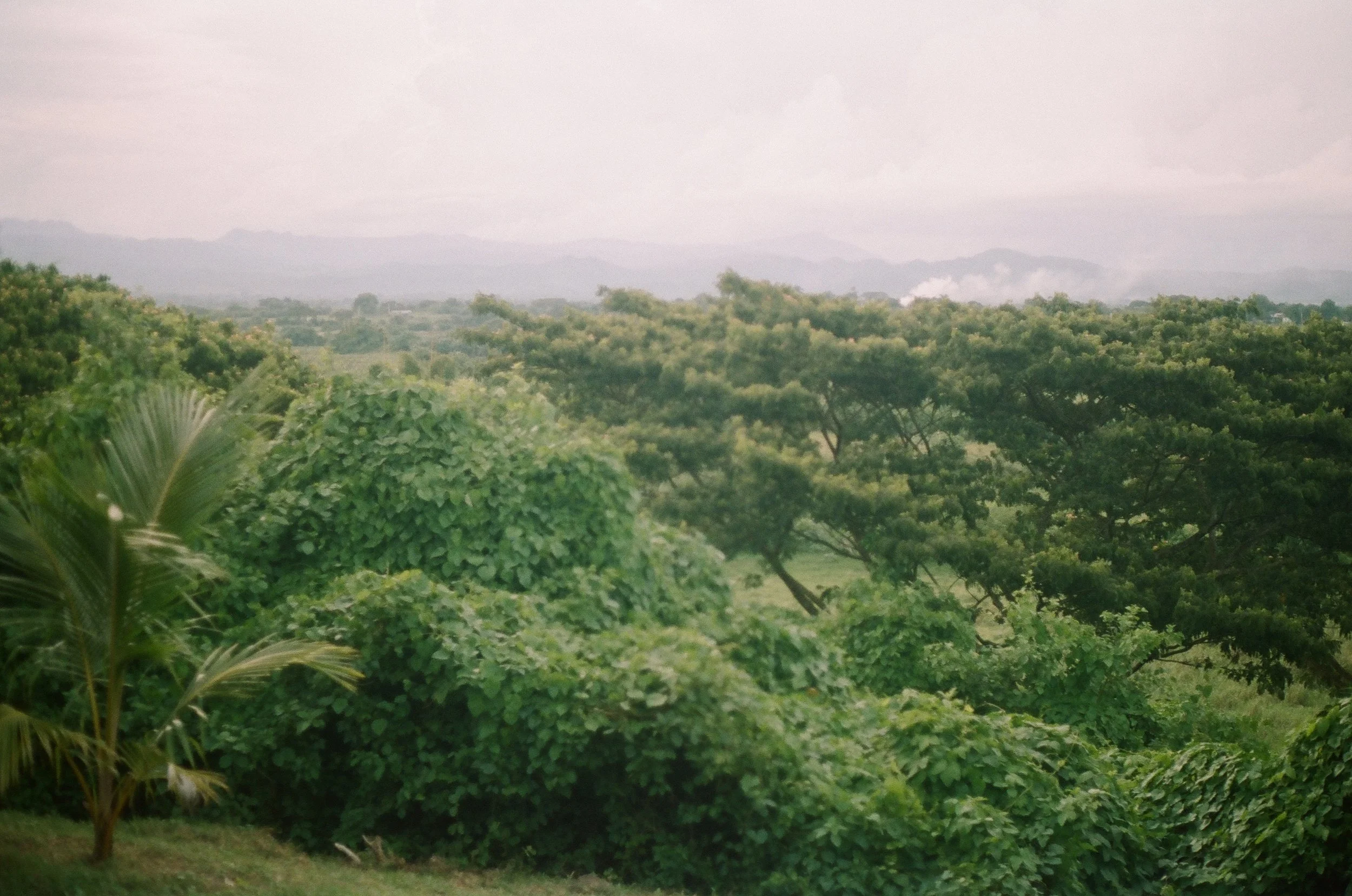 506271_0013.jpg