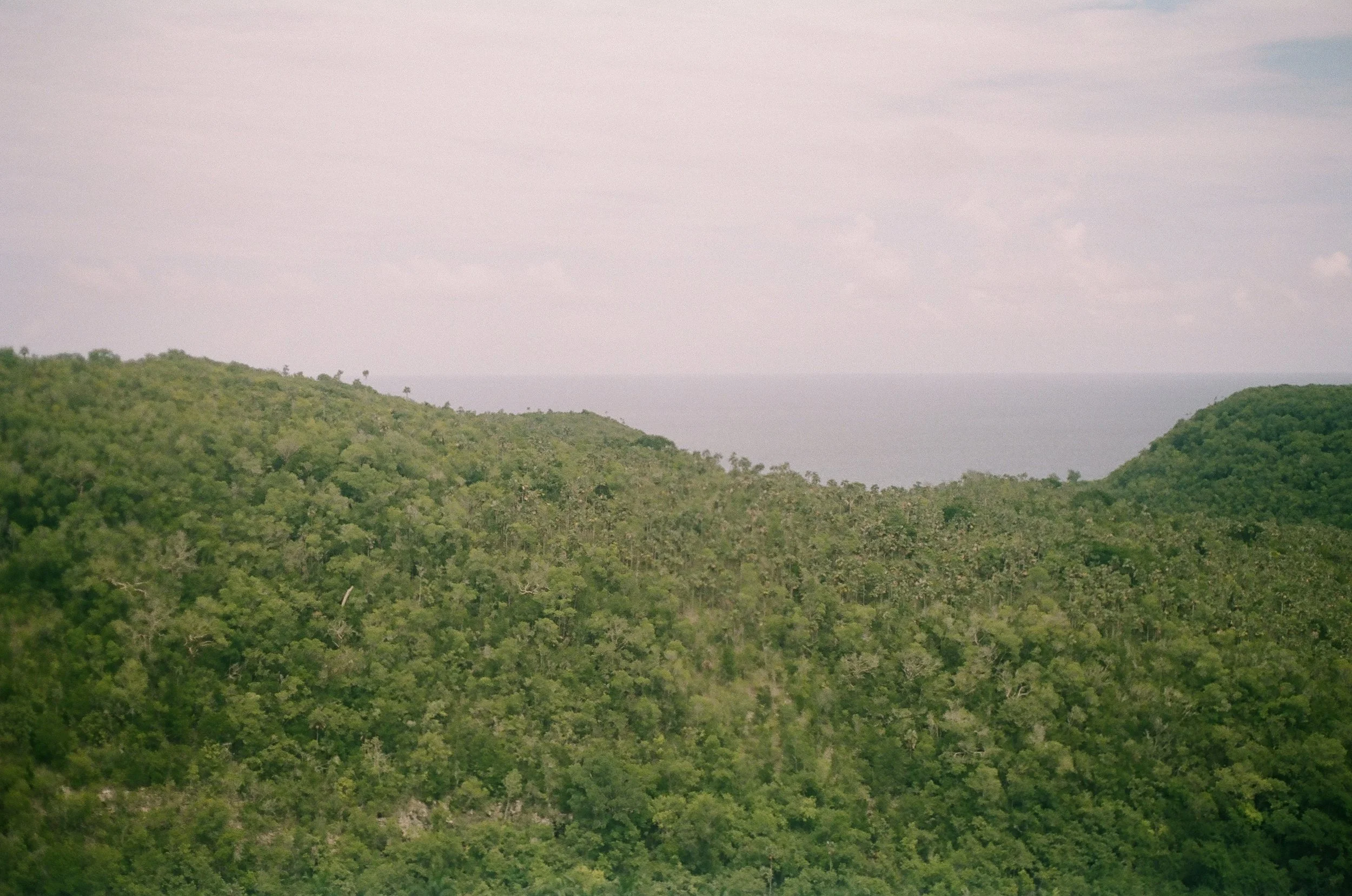 506271_0015.jpg