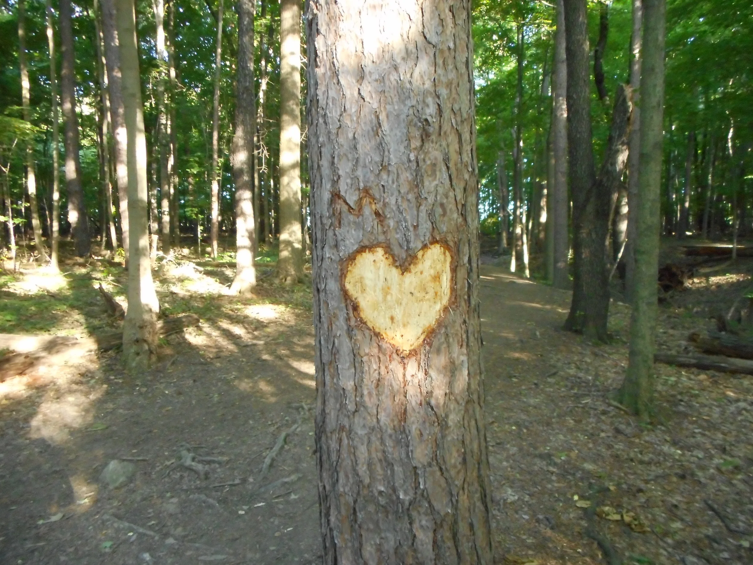 A little bit of celebration is in order now and then