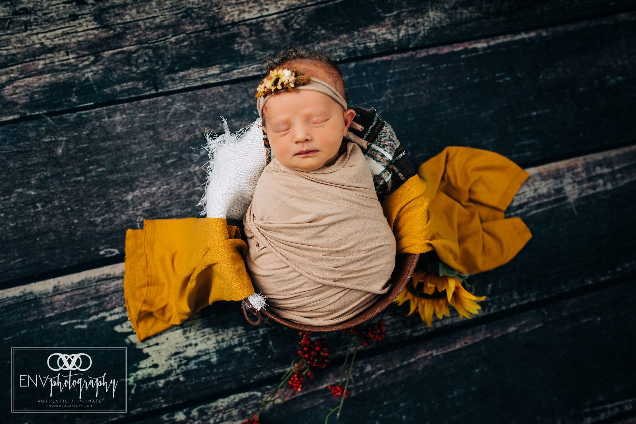 Mount Vernon Columbus Ohio newborn photographer photography in studio (2).jpg