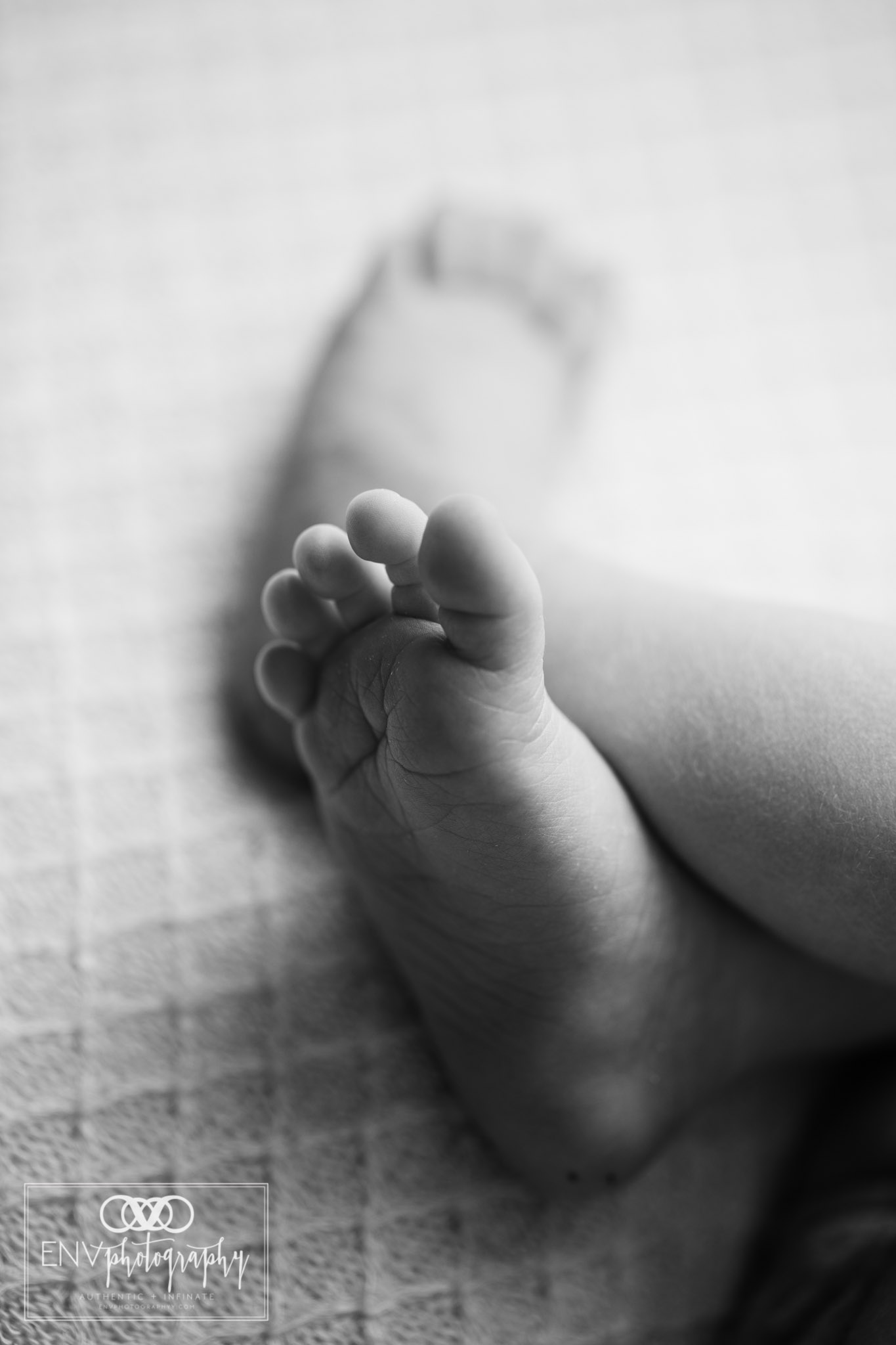 columbus ohio mount vernon ohio newborn maternity photography (10).jpg