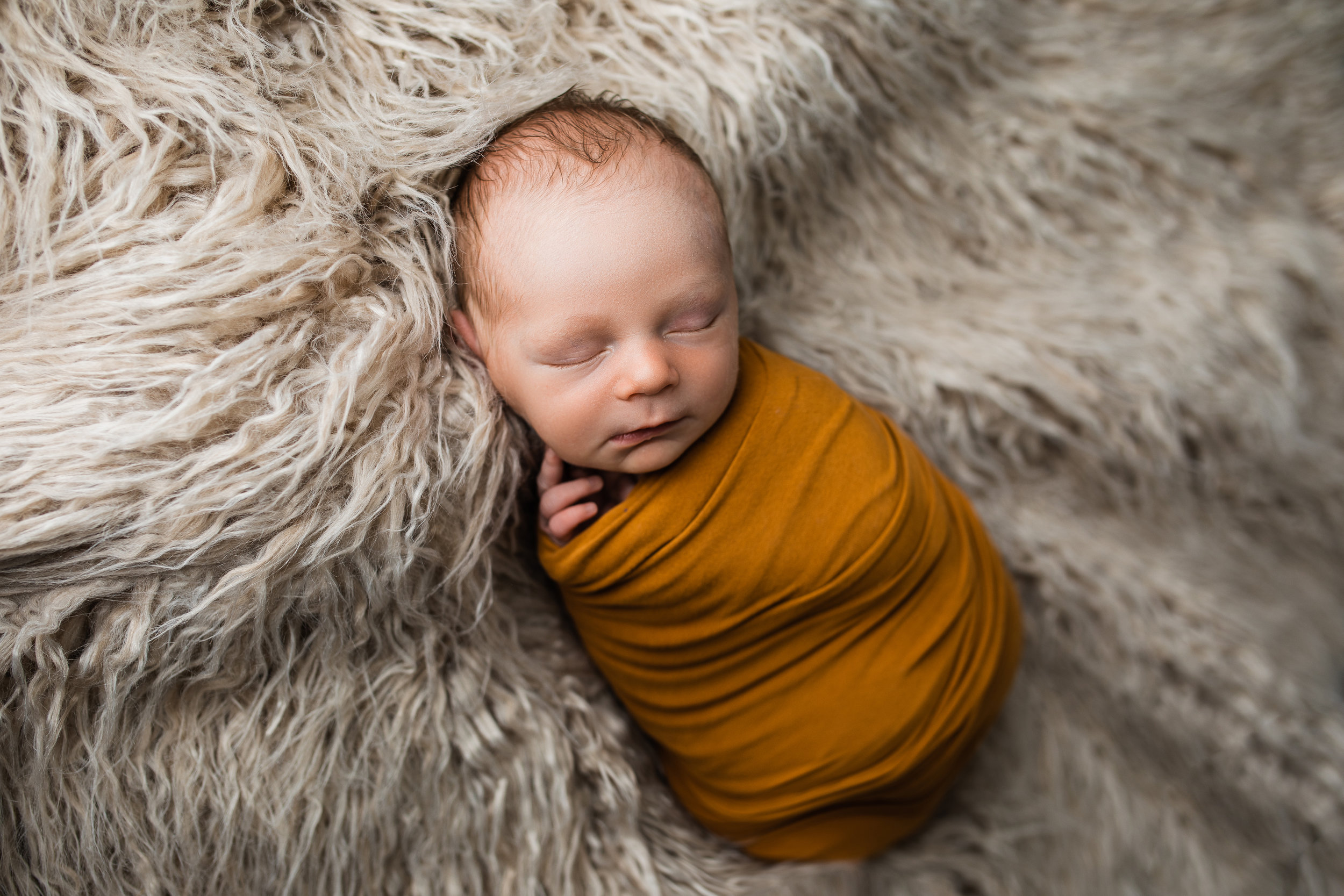 mount vernon columbus ohio newborn photographer (5).jpg