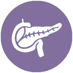 pancreatic surgery brisbane Qld