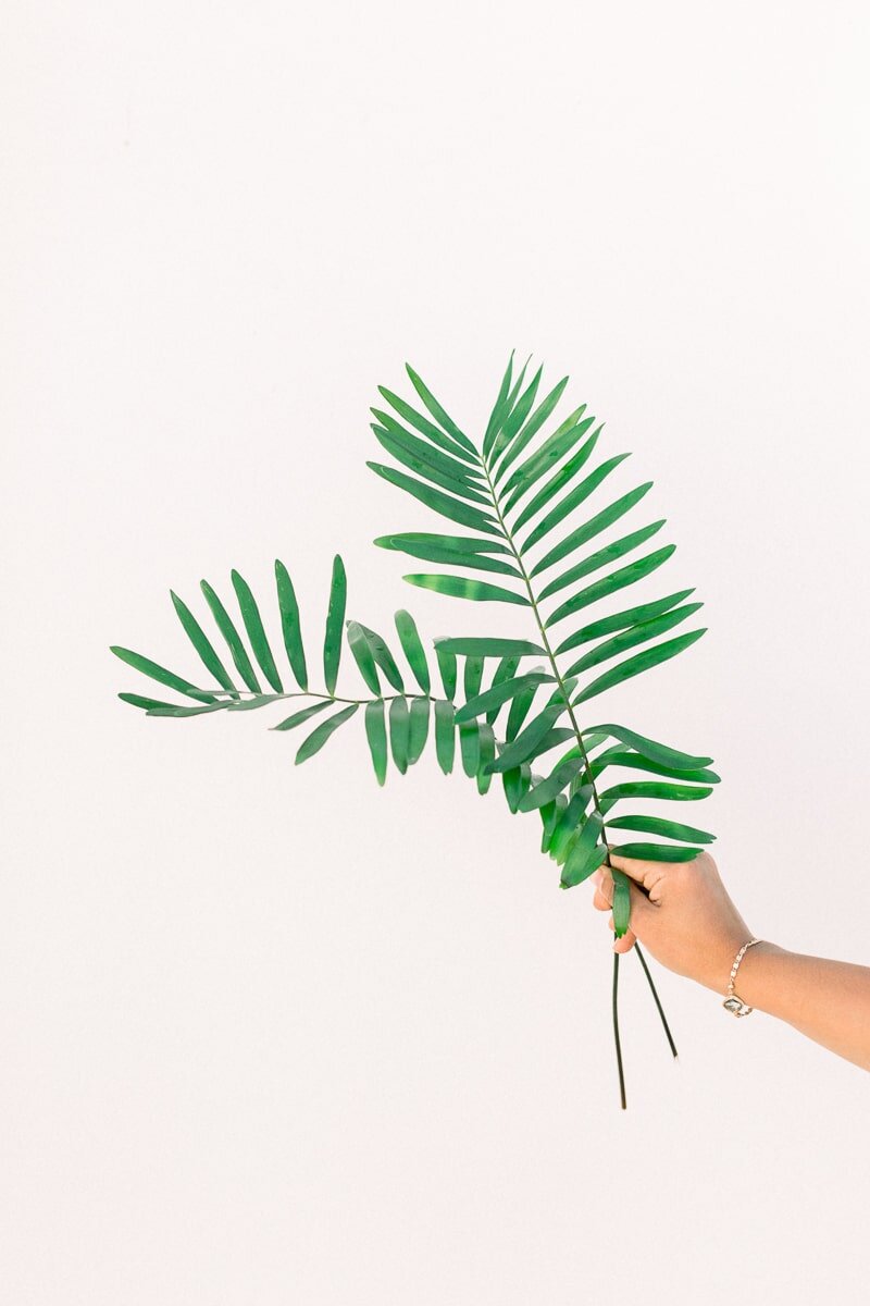 Penelope Pots Summer Brand Session — Lovisa Photo