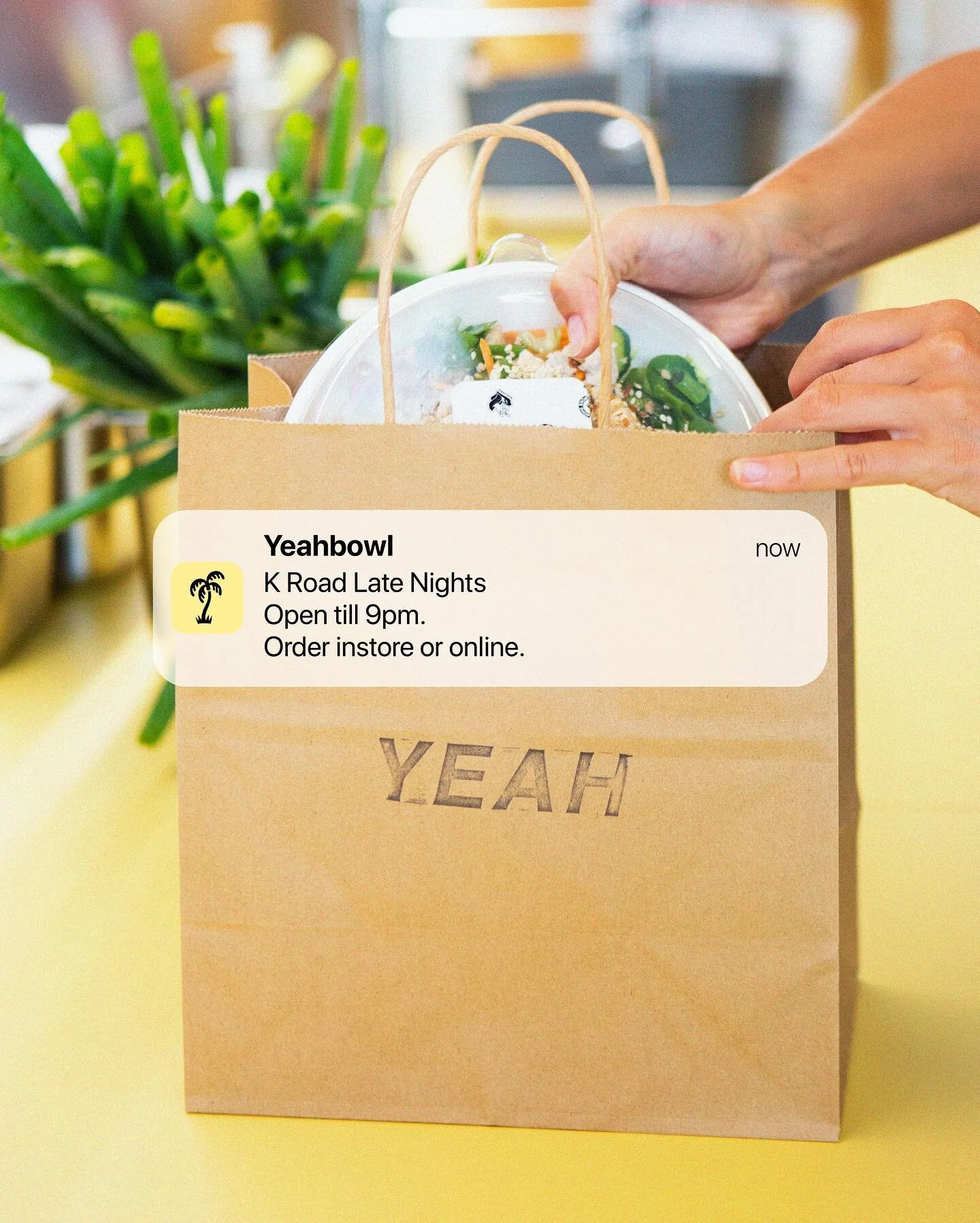 Aucklands tastiest bowls offering a wide array of healthy ingredients.