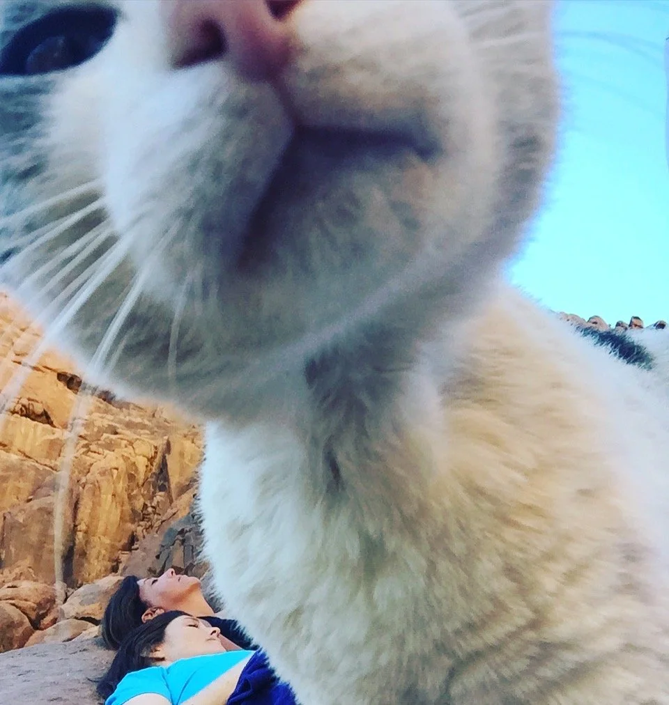 IMG_9036.JPG