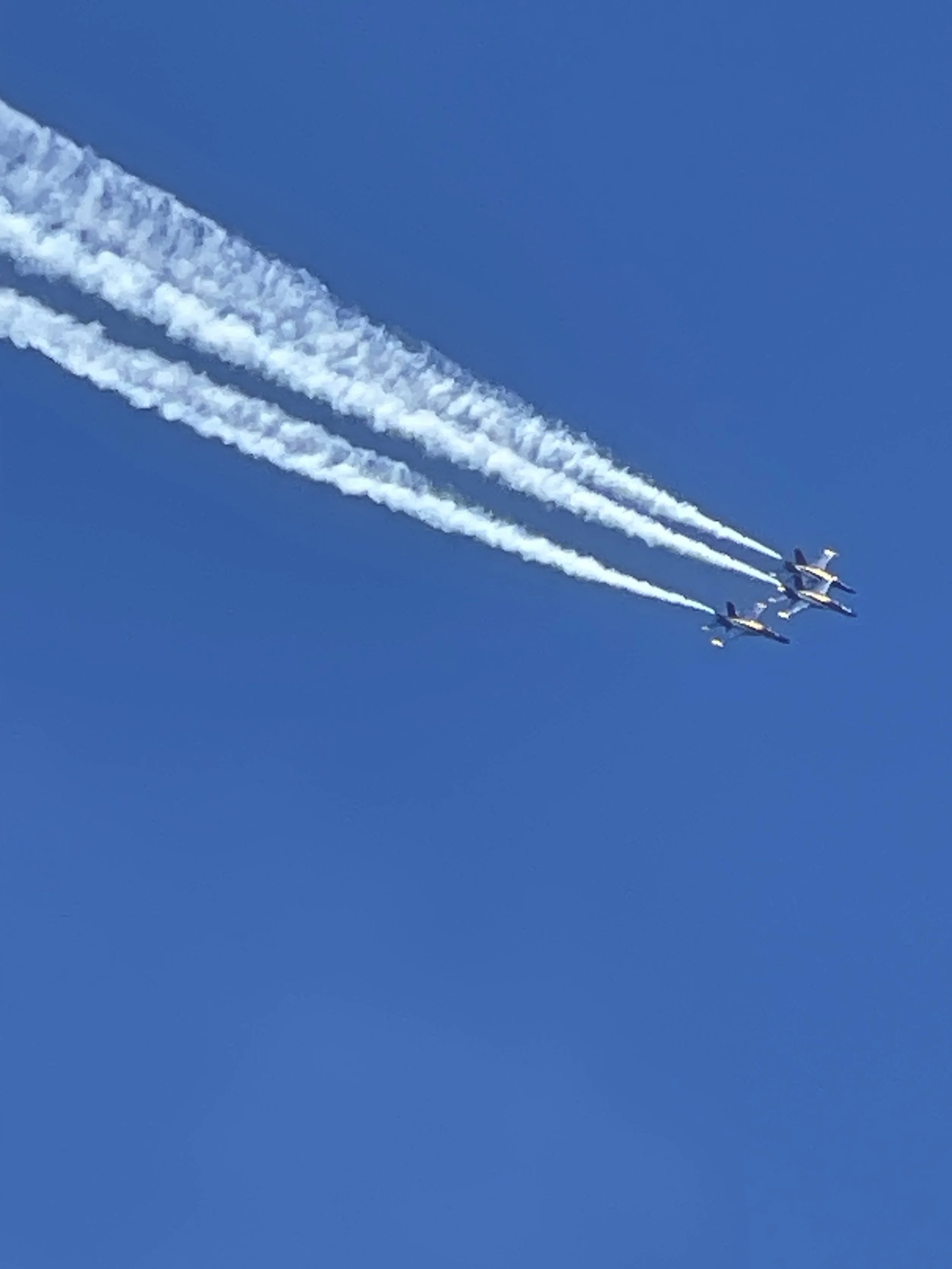 IMG_8749.jpeg