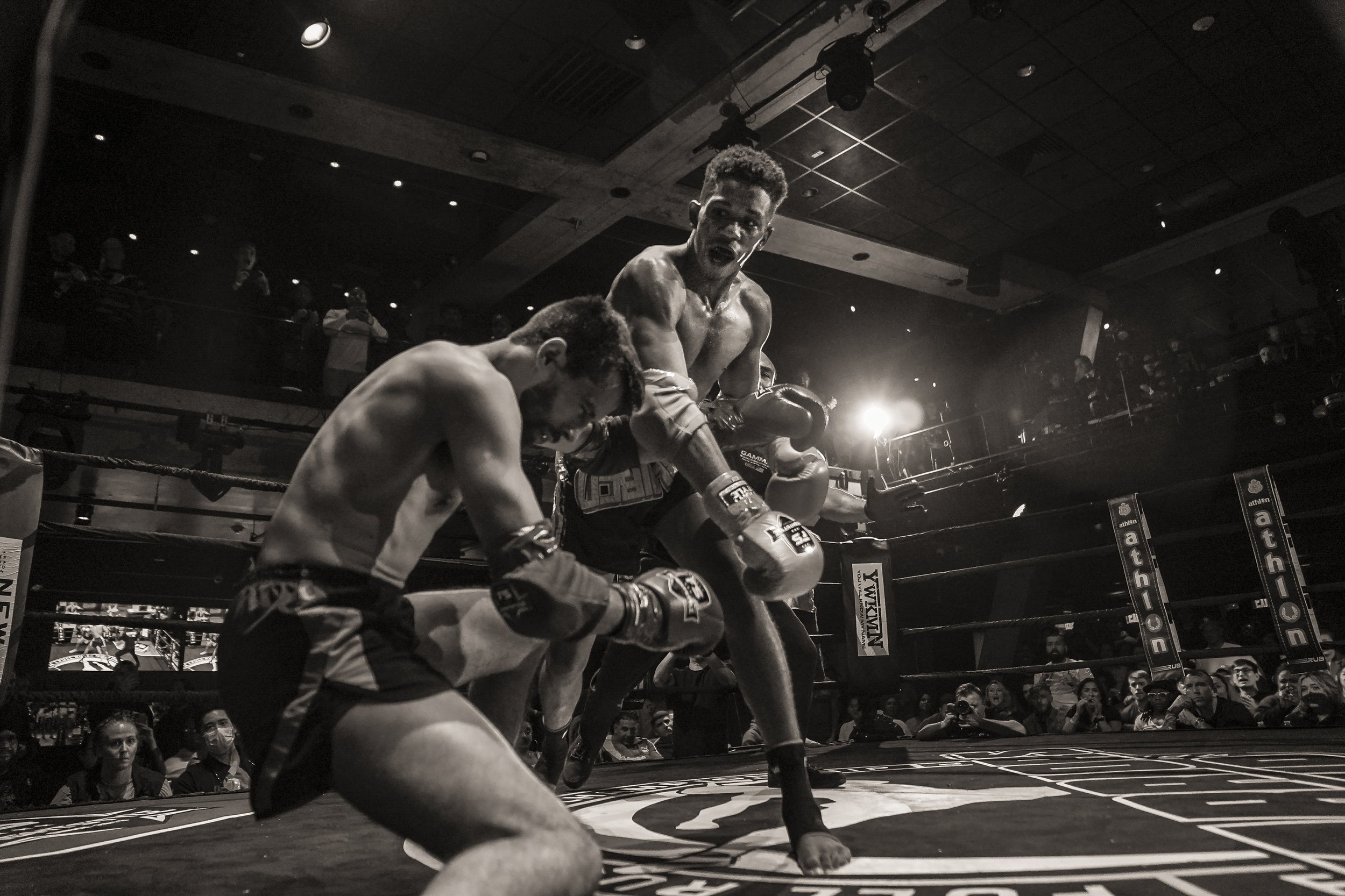 website smaller 00-2.JPG