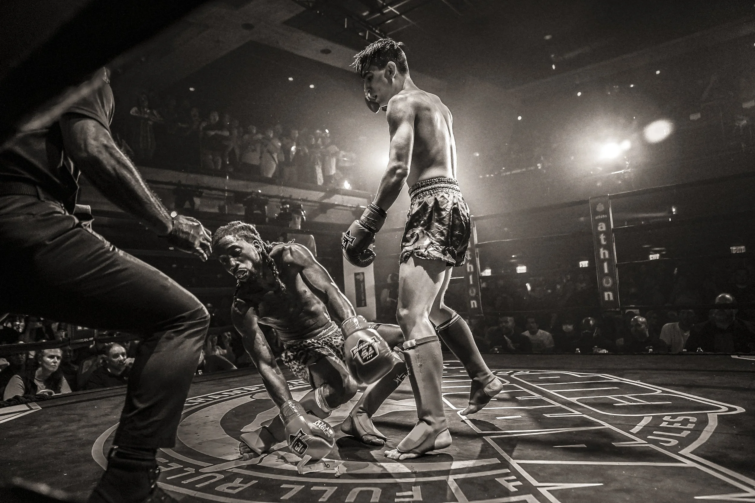 website smaller 00-4.JPG